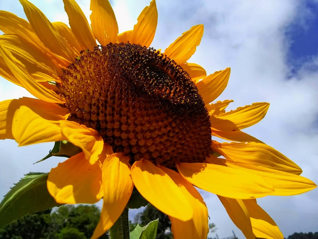 WhatsApp Image 2019-09-13 at 18.26.35 (1).jpeg