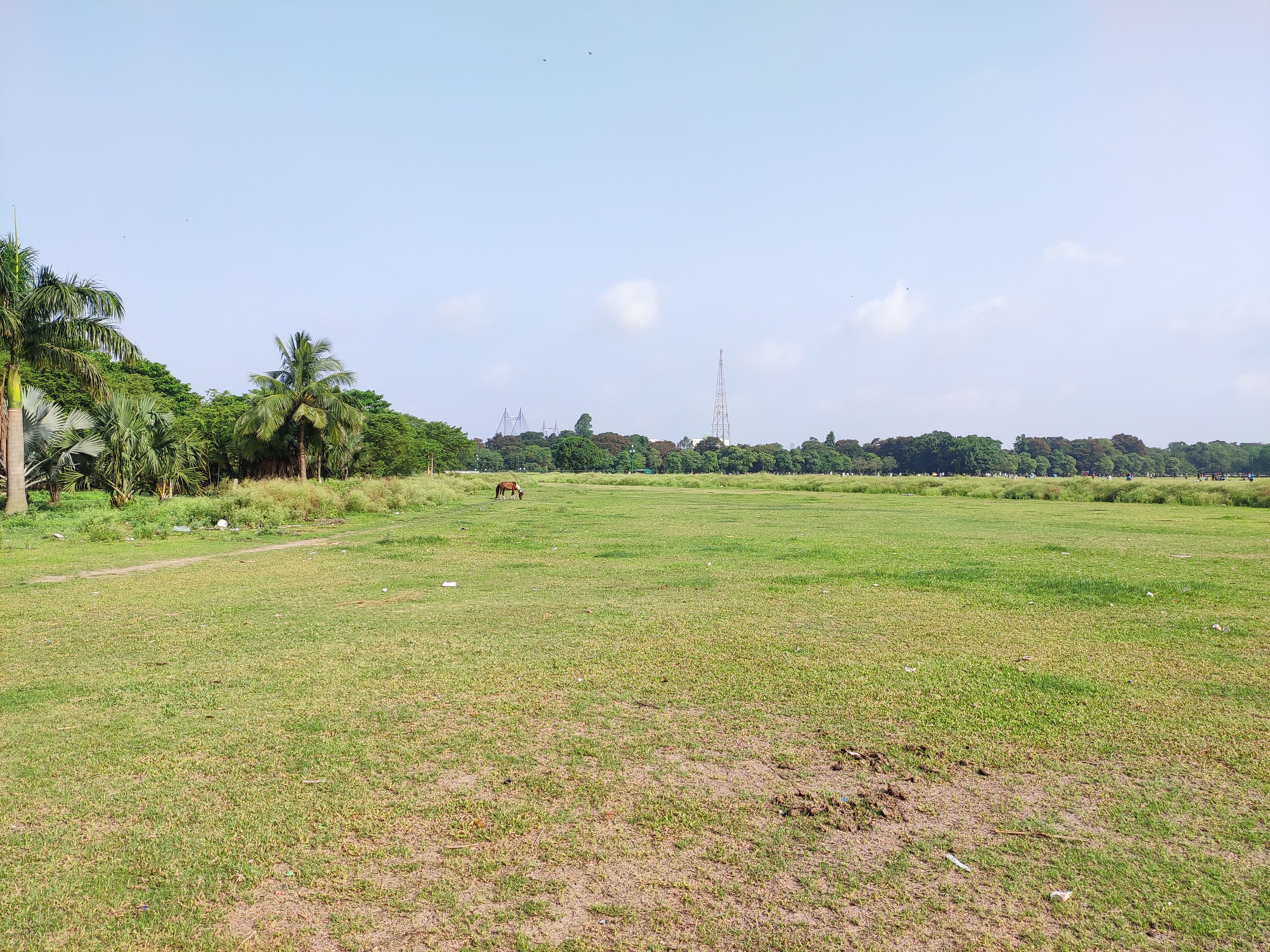 IMG_20190616_073126.jpg