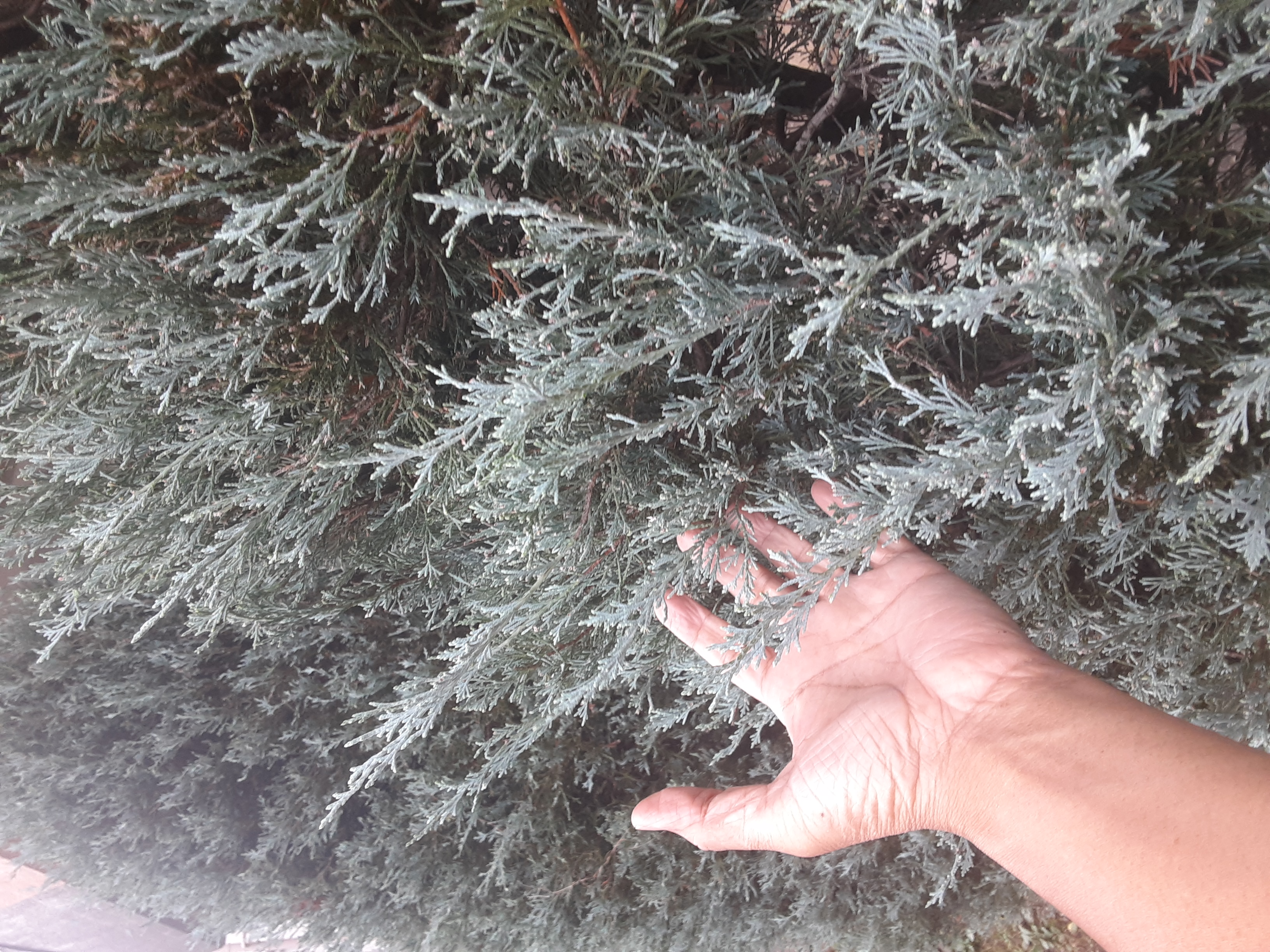 20241026_135708.jpg