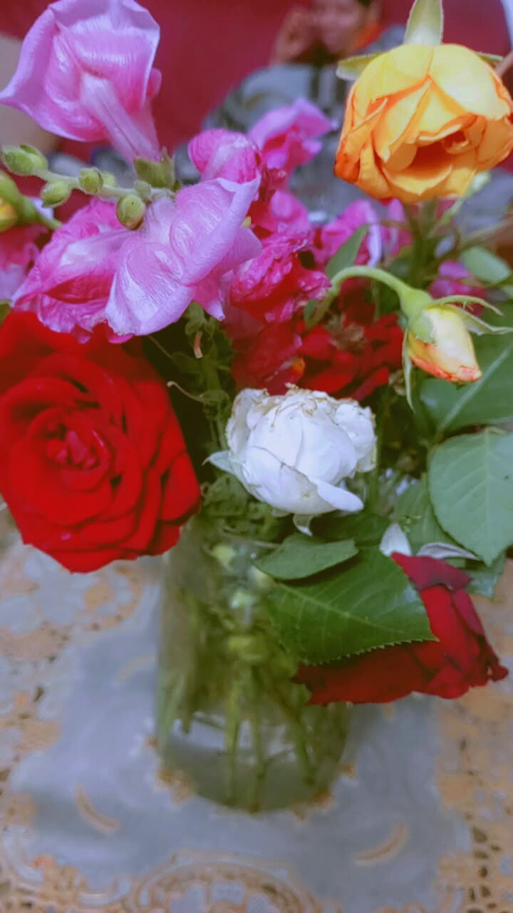 IMG_20260415_132721.jpg