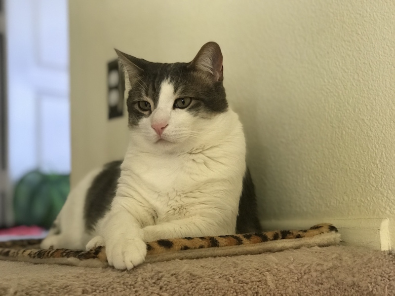 TIGGGGGG.jpg