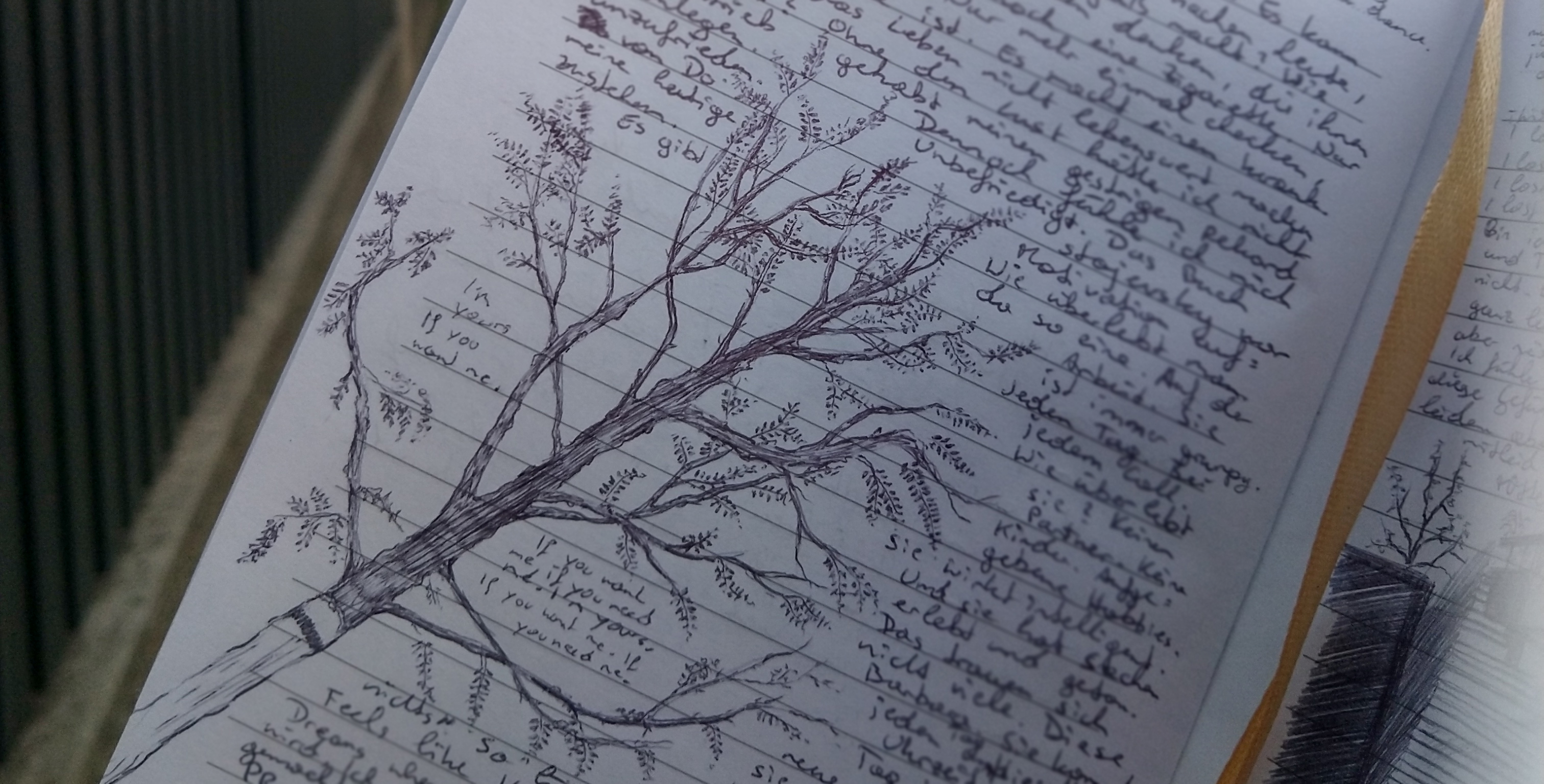 baum.jpg