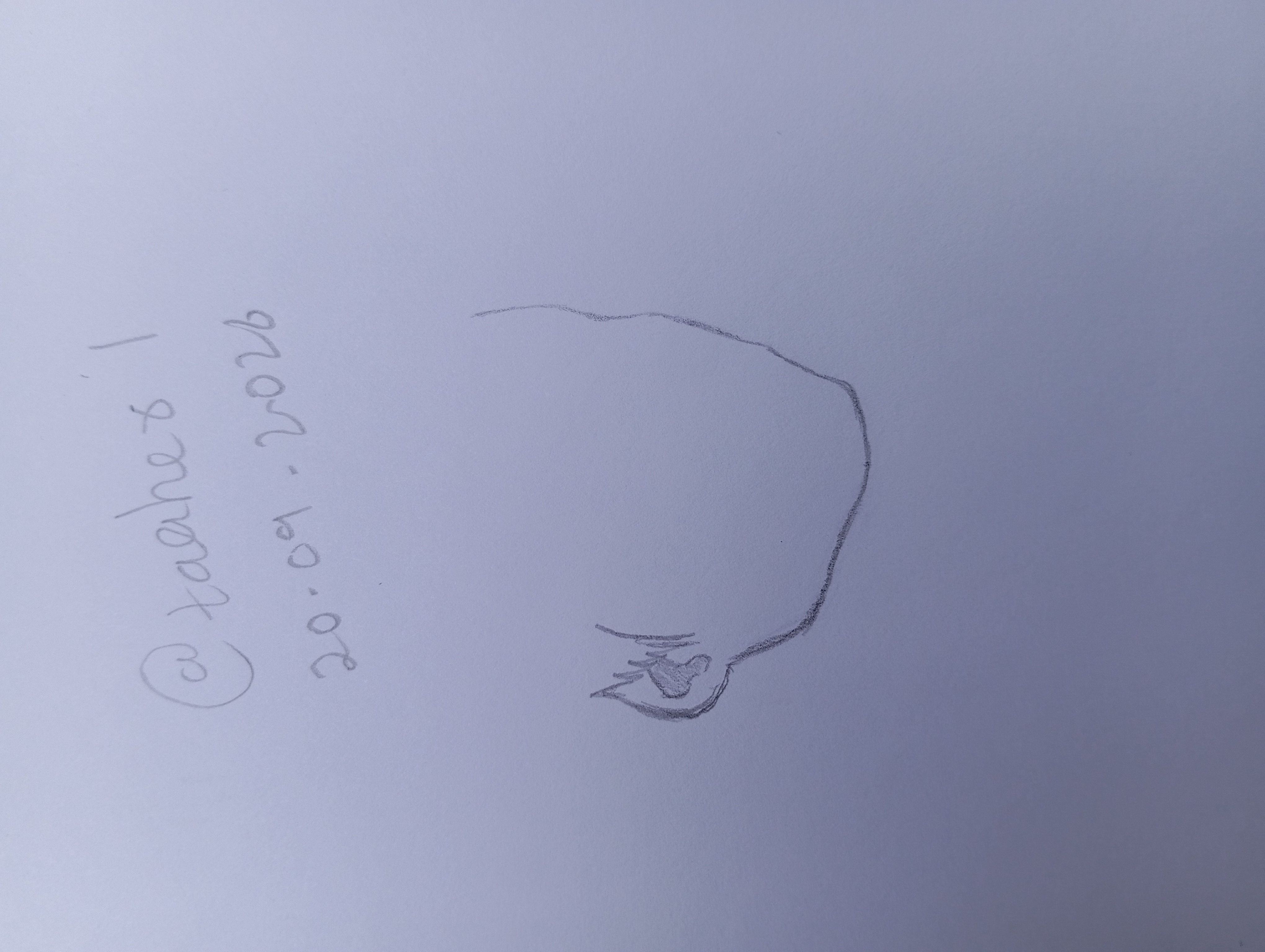 1000229310.jpg