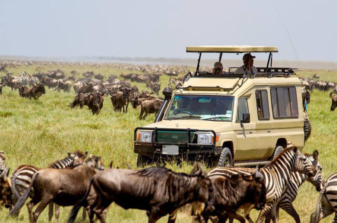 Best things to do on Serengeti tour Tanzania safari.jpg