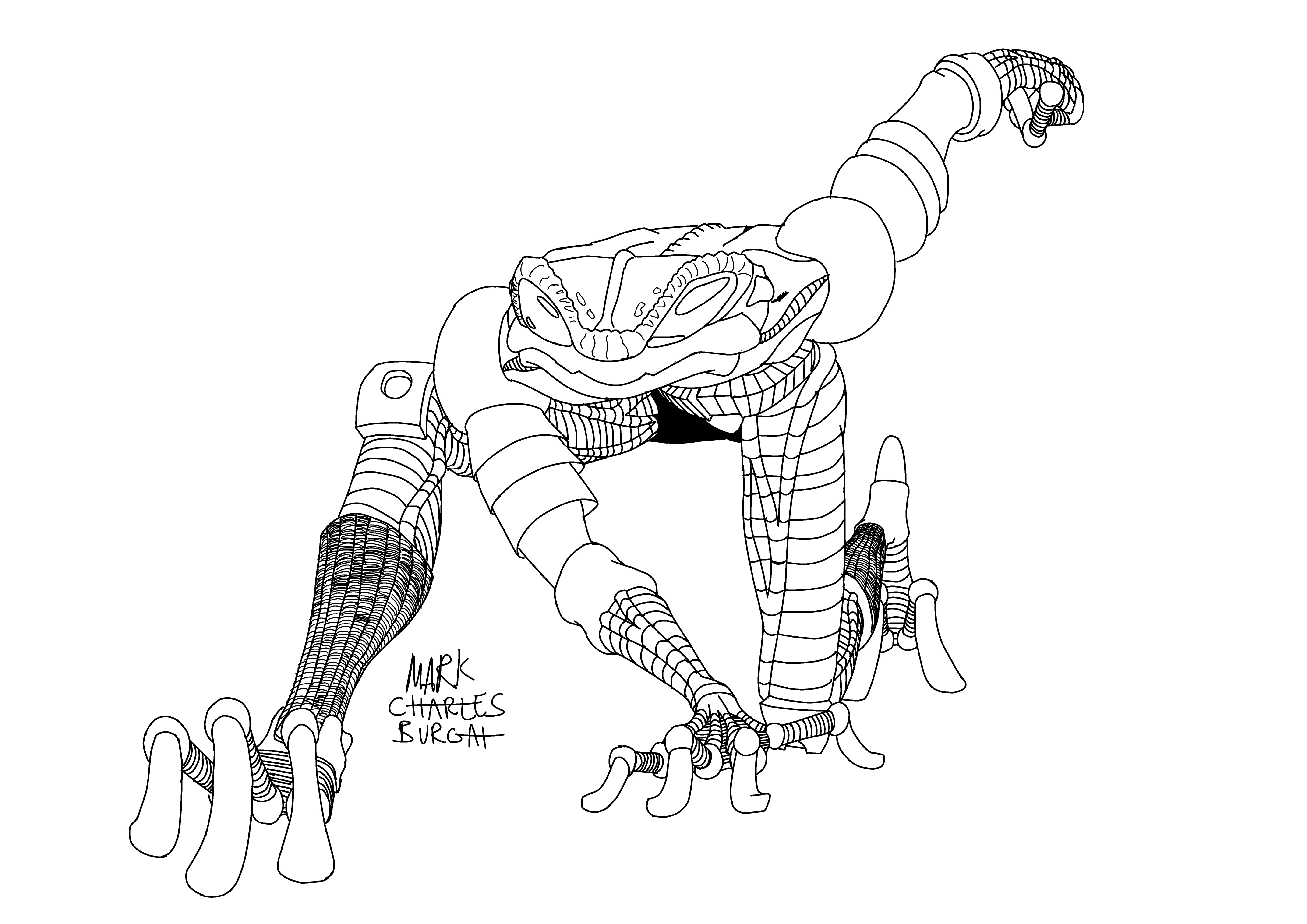 Cyberfrog.jpg