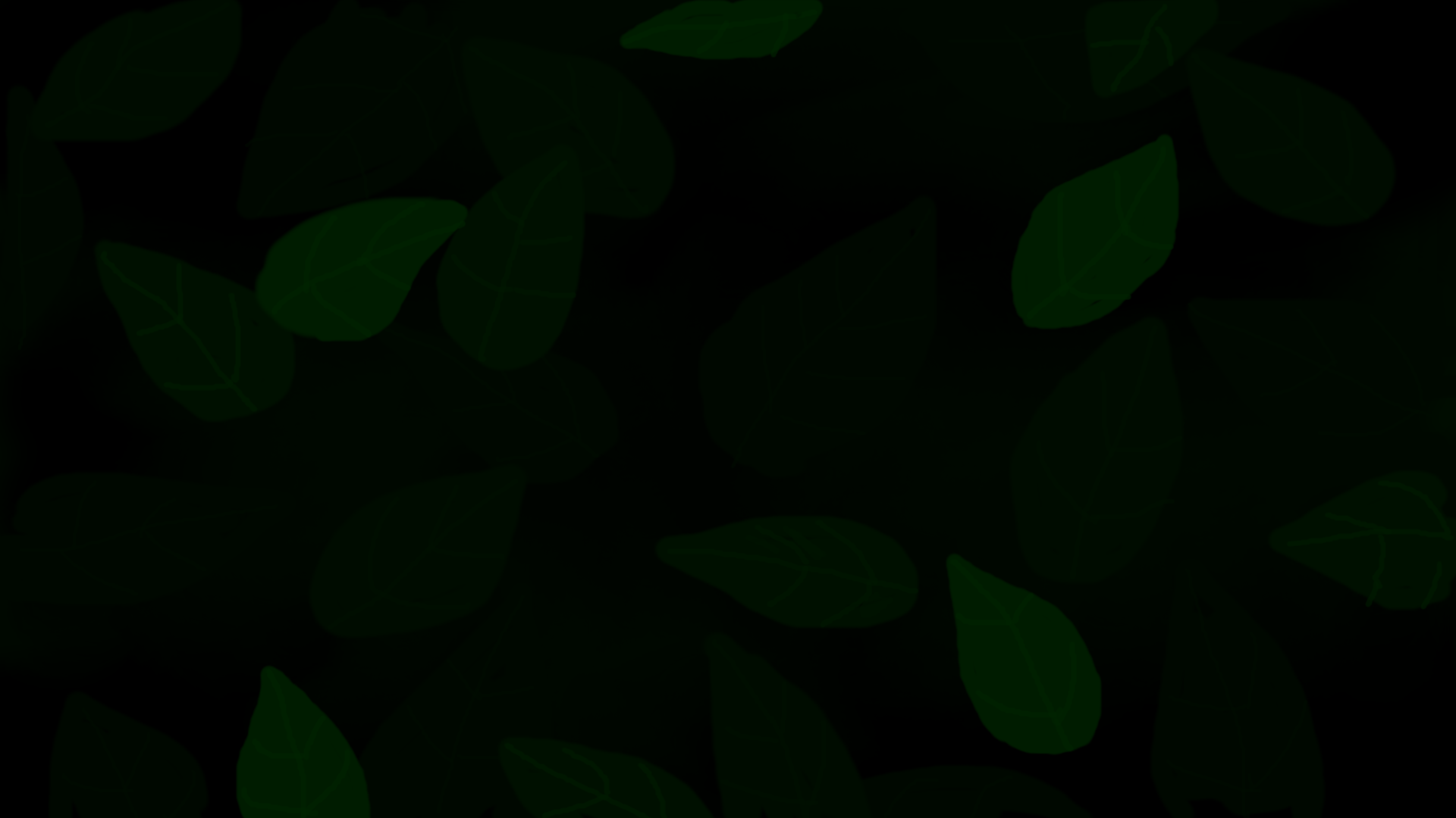 6.png