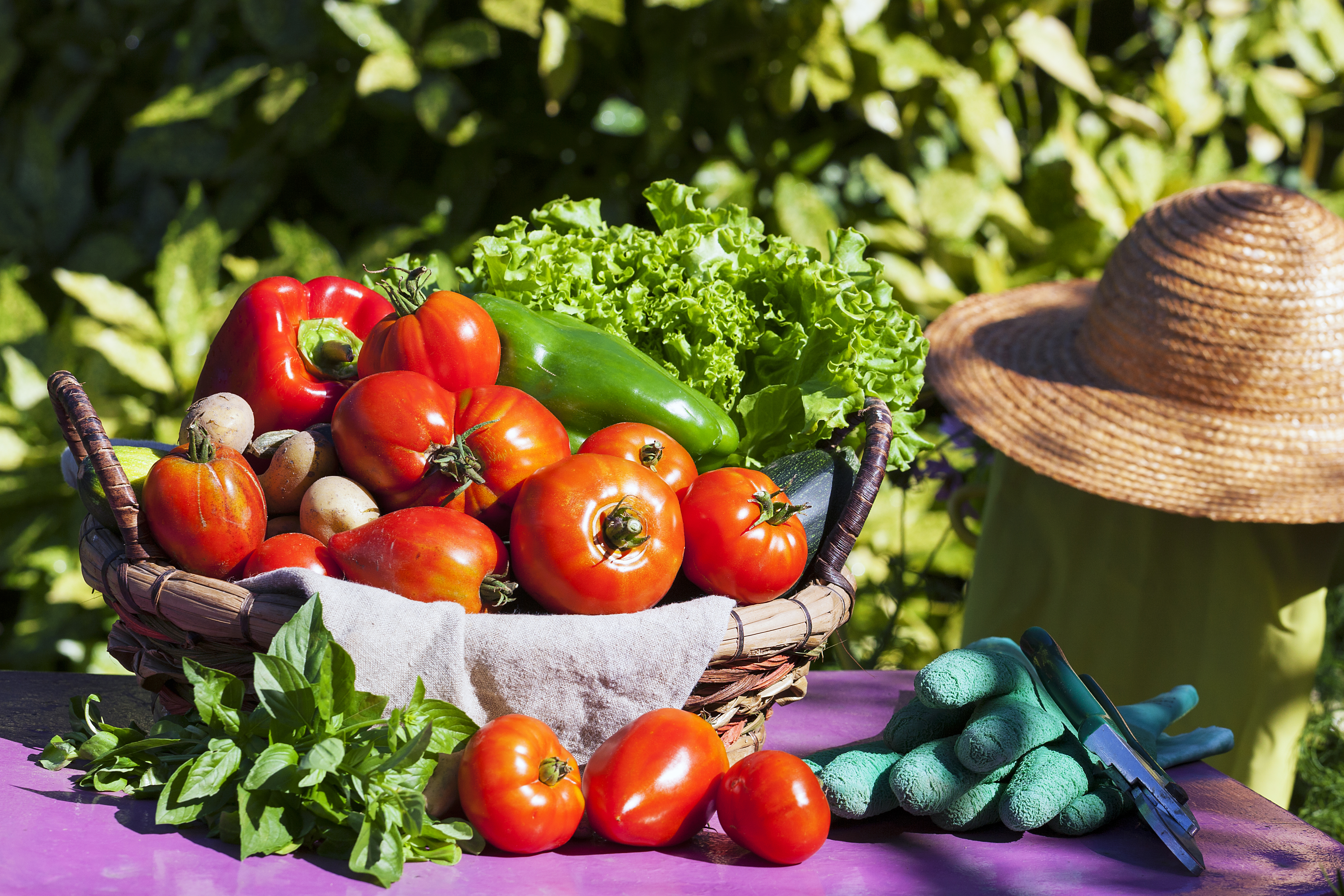 verdure-un-cesto-sot