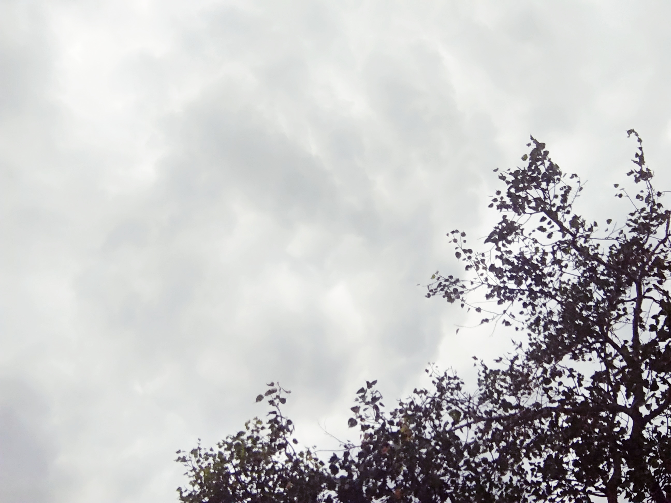 IMG_20210827_155541.jpg