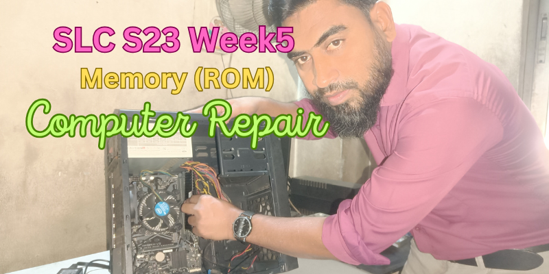 Computer Repair - Memory (ROM).png