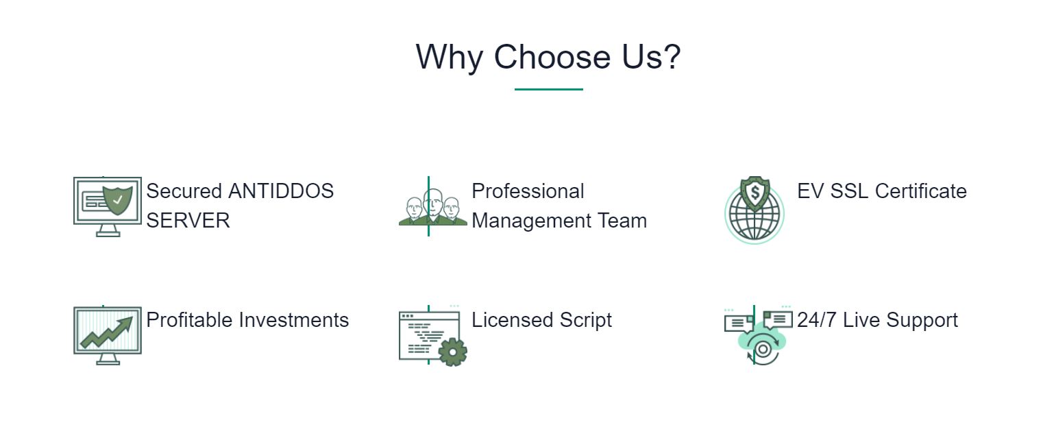 why choose us.JPG