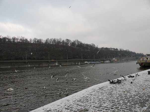 IMG_1095.jpg