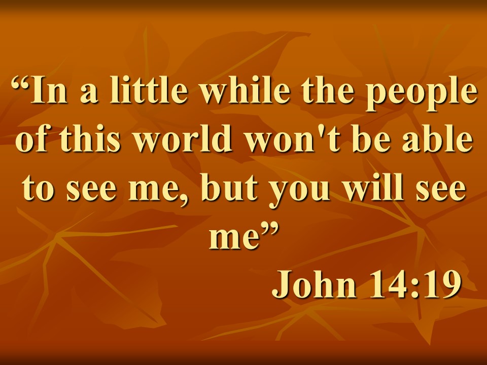The spirituality of Jesus. In a little while the people of this world won't be able to see me, but you will see me. John 14.19.jpg