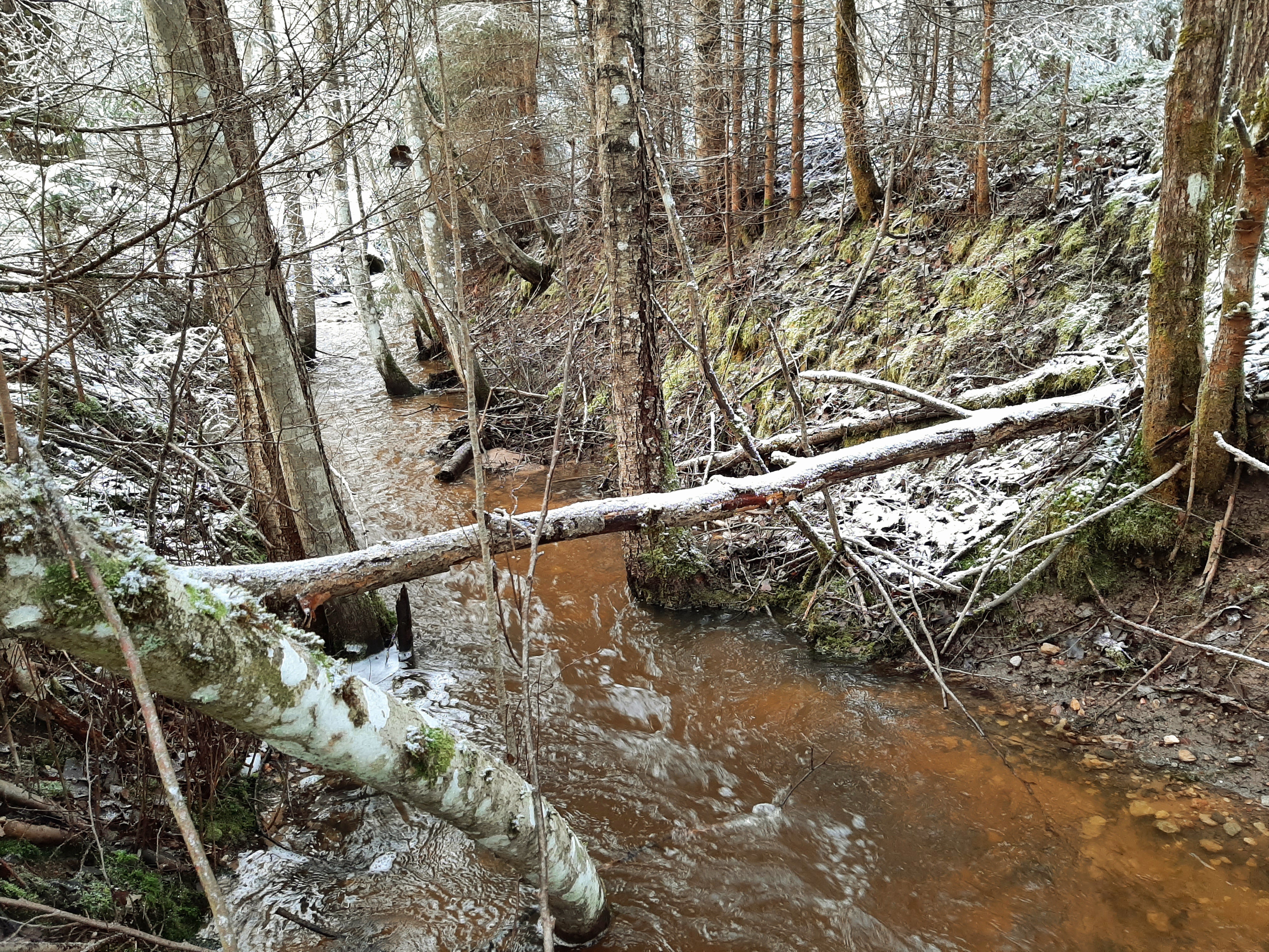 20250102_114346.jpg