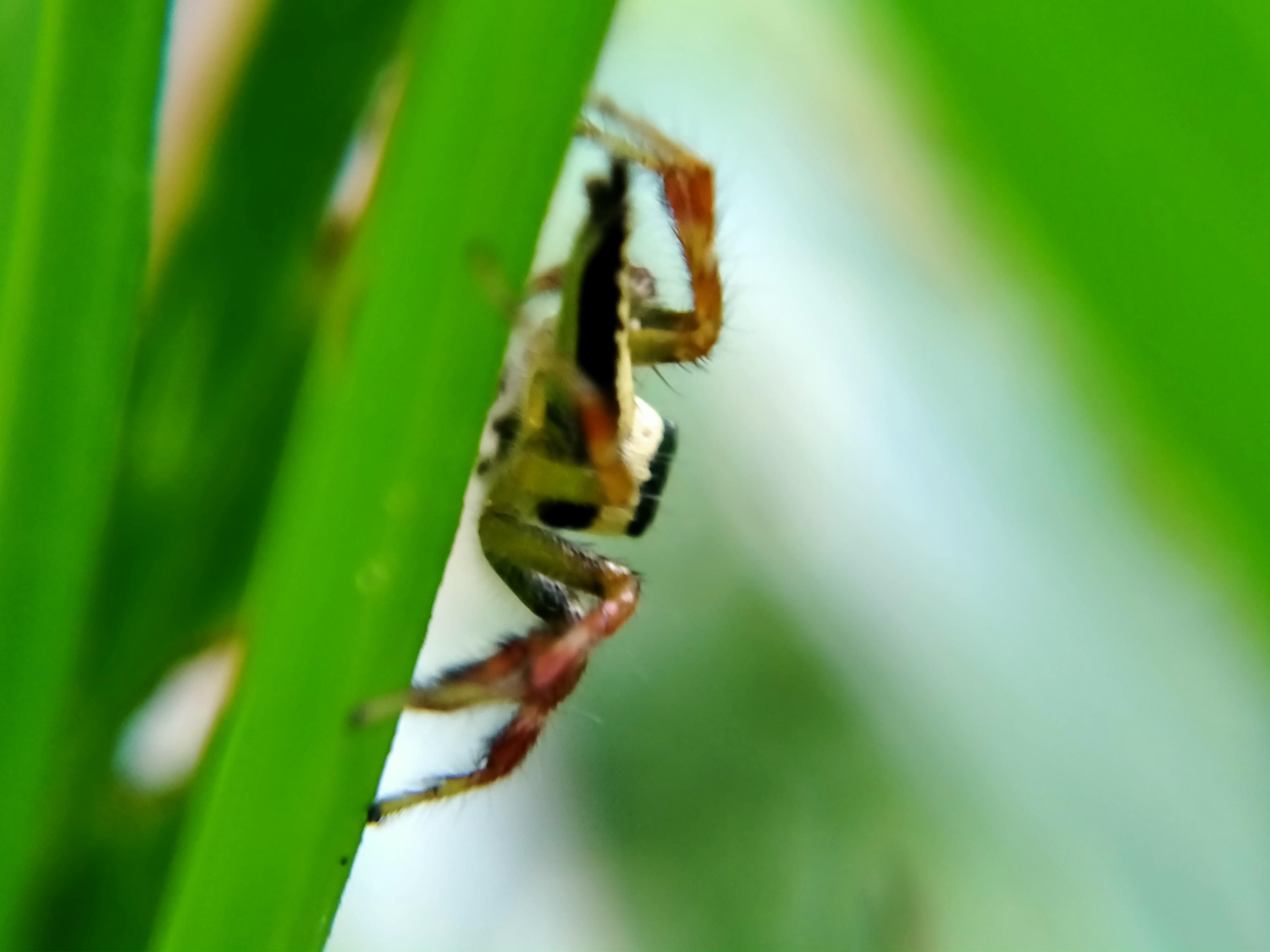 IMG20220124162202.jpg