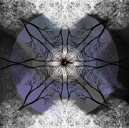 Lookingthrough.jpg