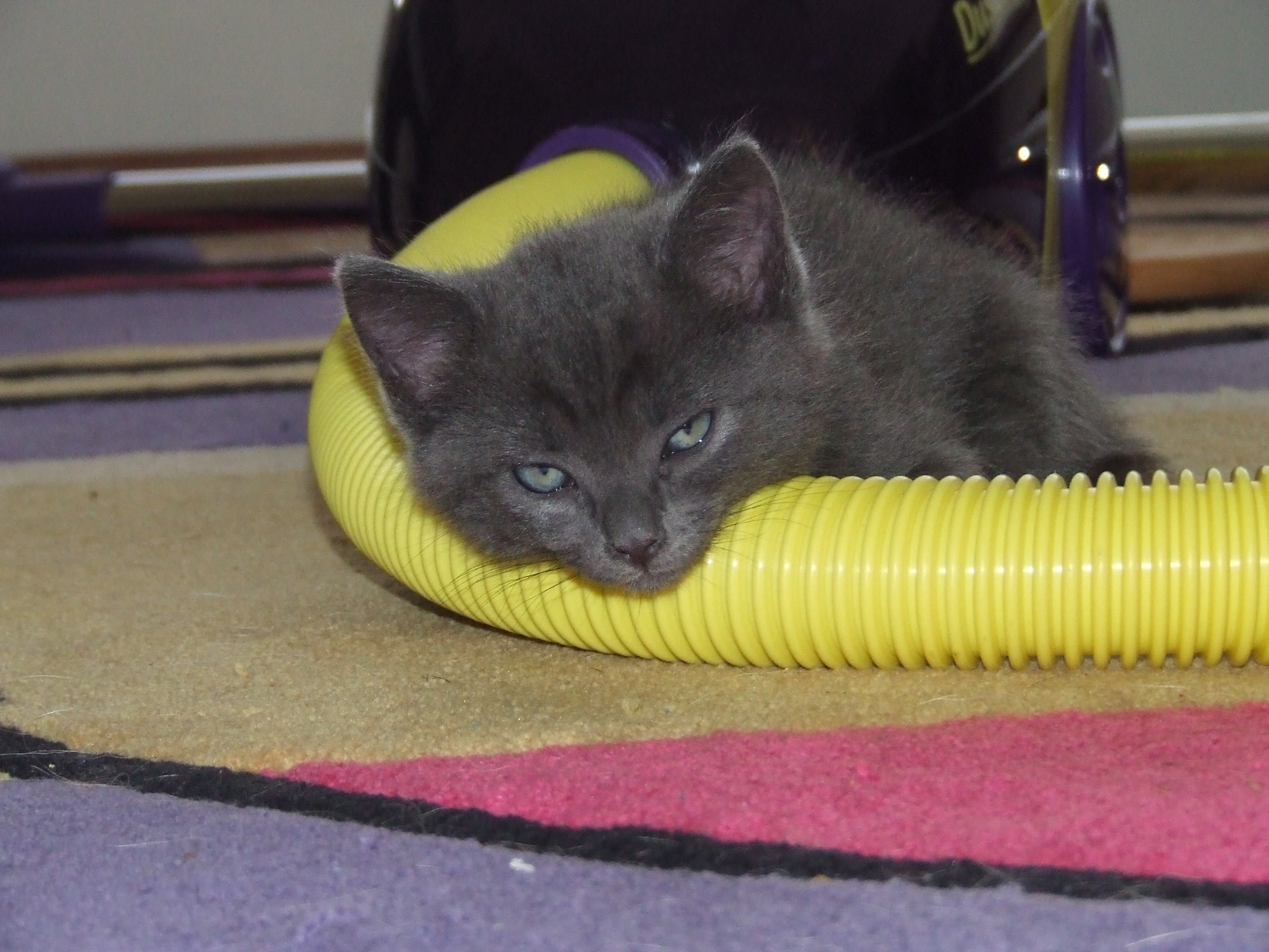 DSCF3653.JPG
