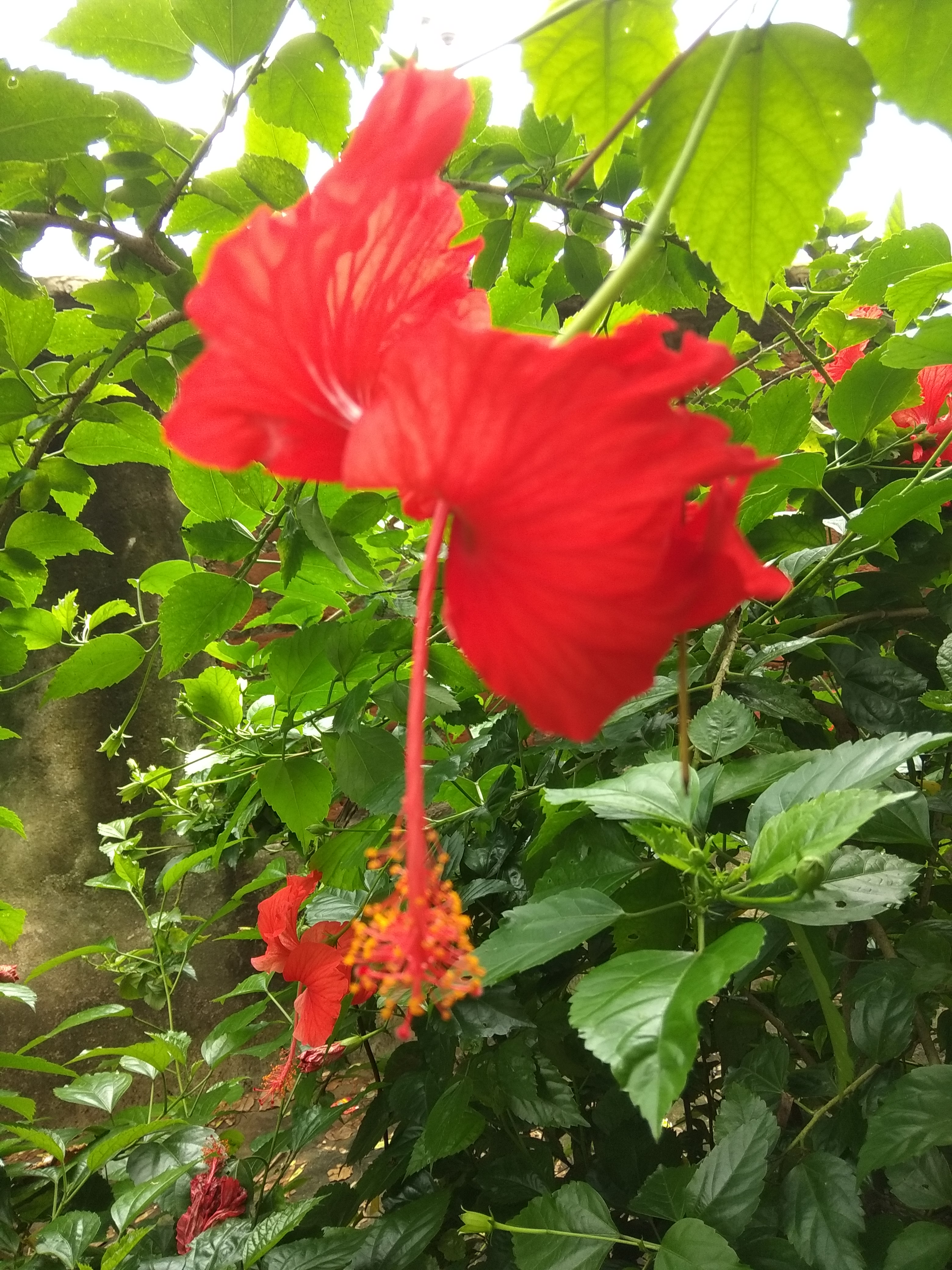 IMG_20180830_122505.jpg
