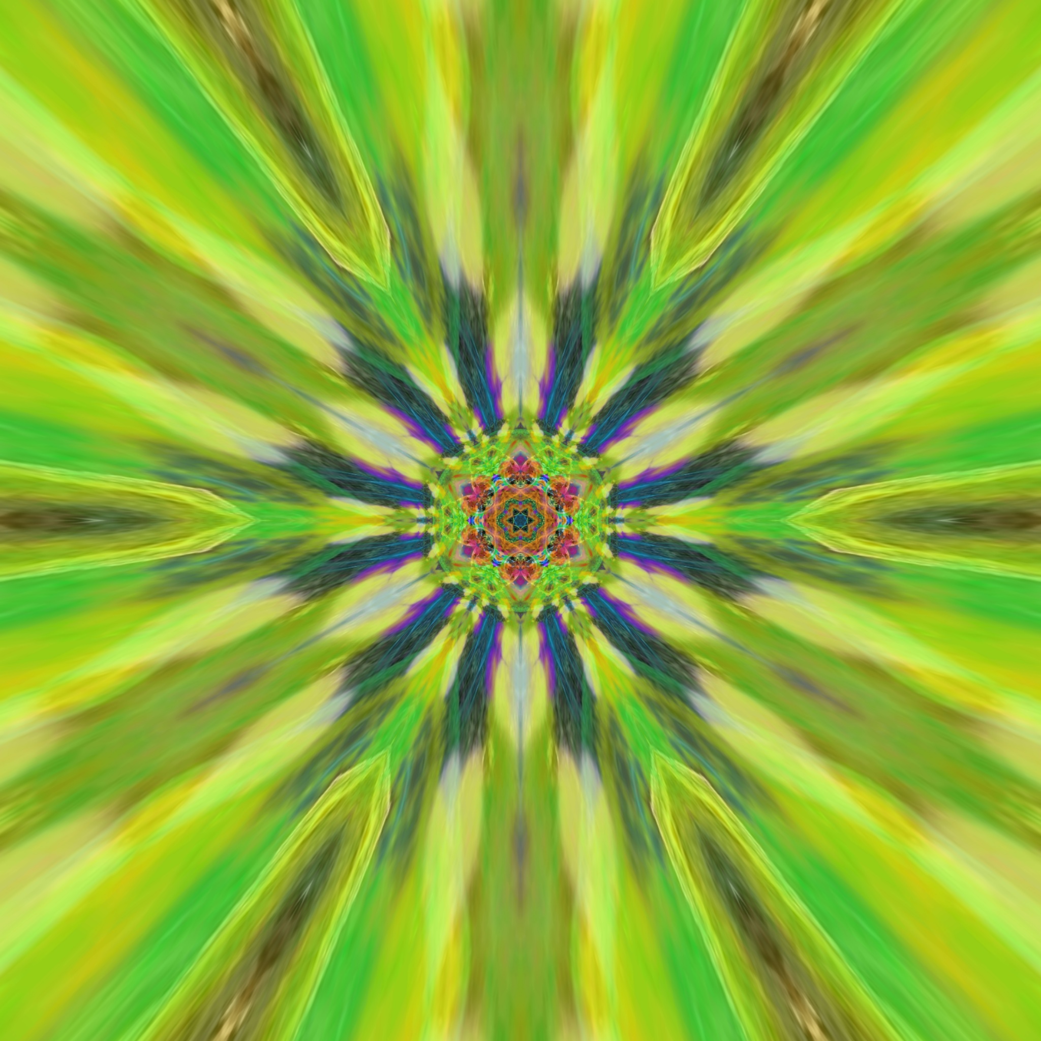 image3A156_mirror89.jpg