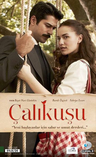 Постер_сериала_«Королёк_—_птичка_певчая»_(2013).jpg