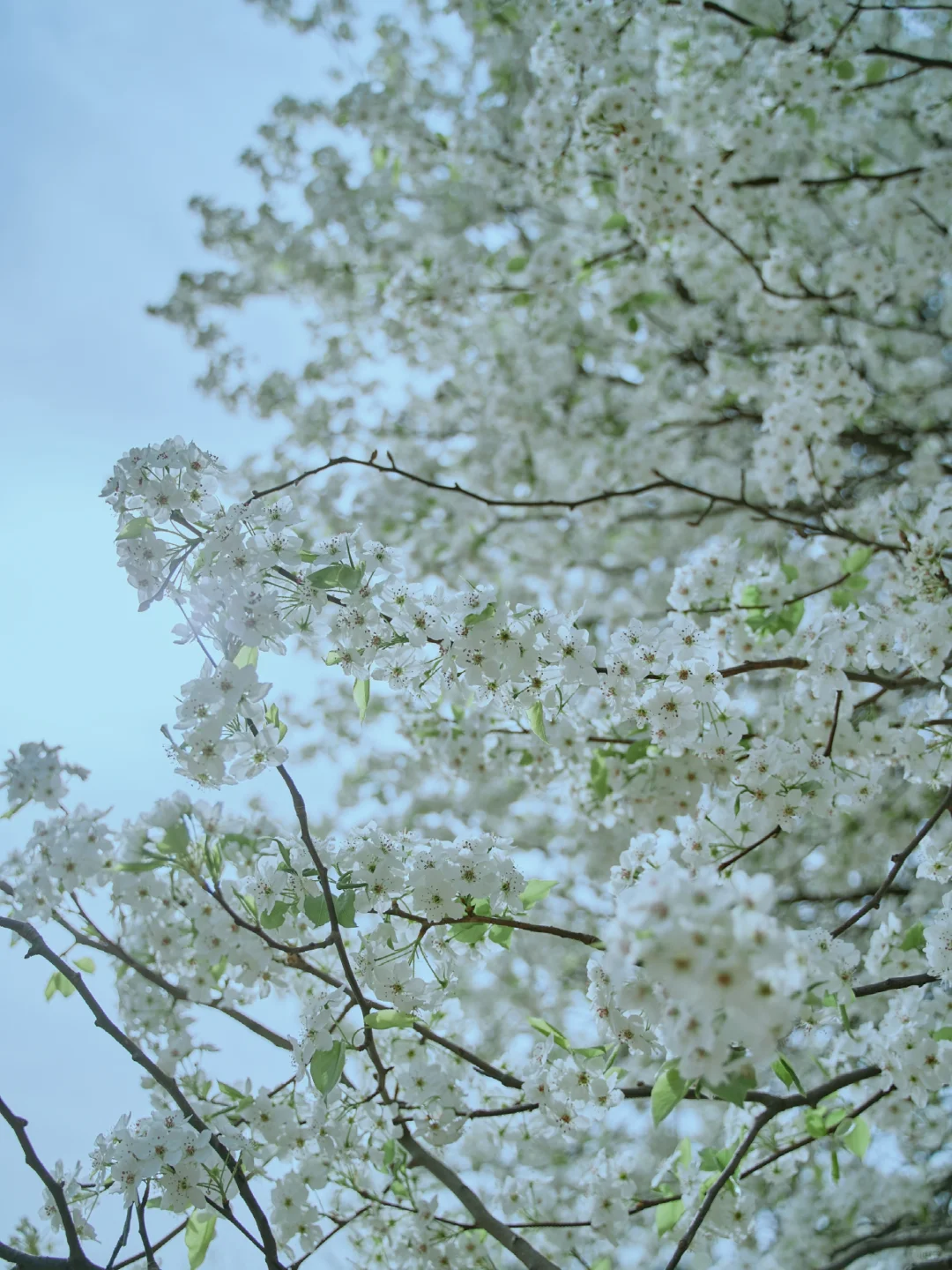 157.webp