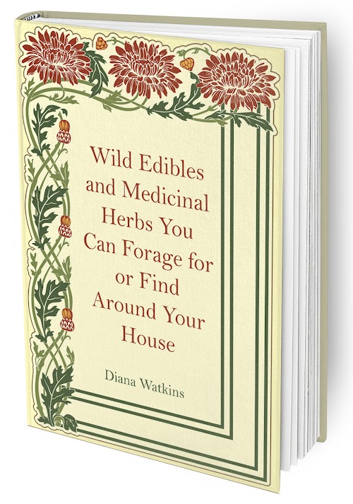 Wild Edibles You Can Forage for or Find Around Your House .jpeg