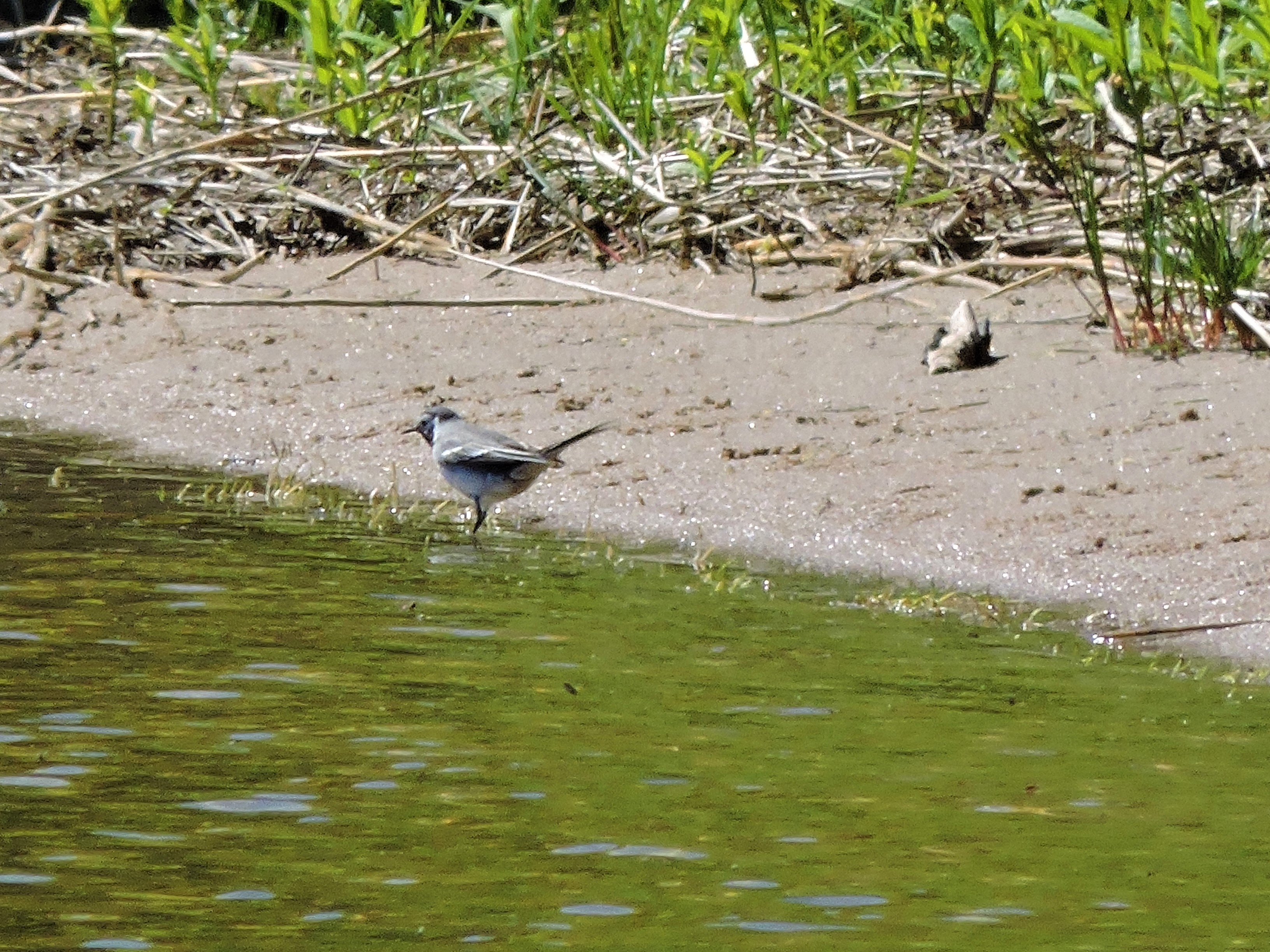 DSCN4583.JPG