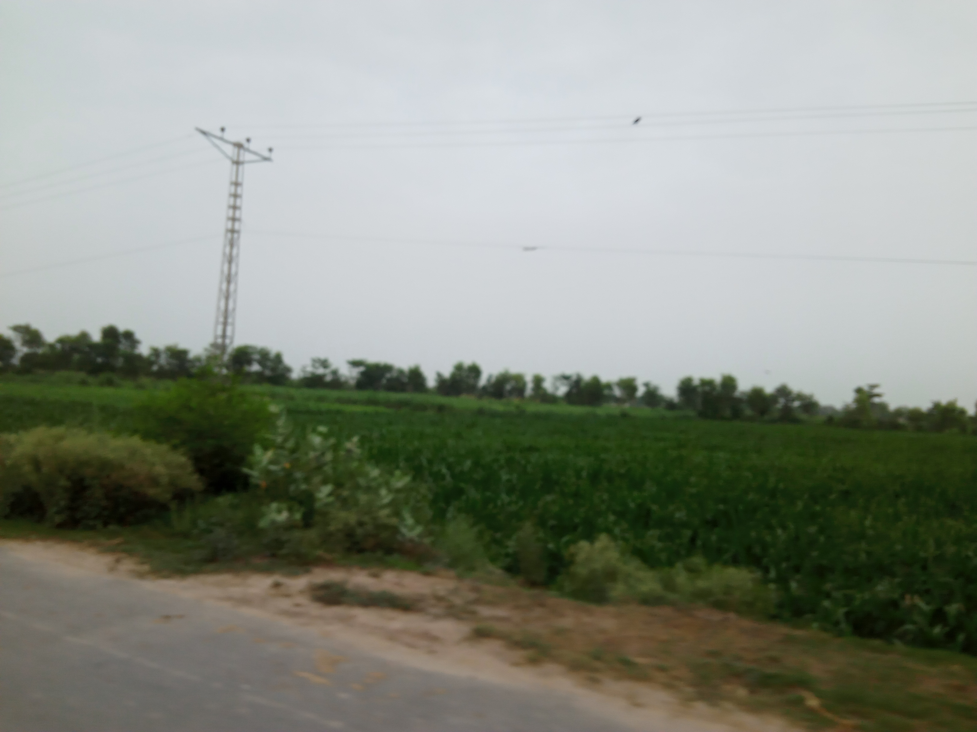 IMG20210727175557.jpg