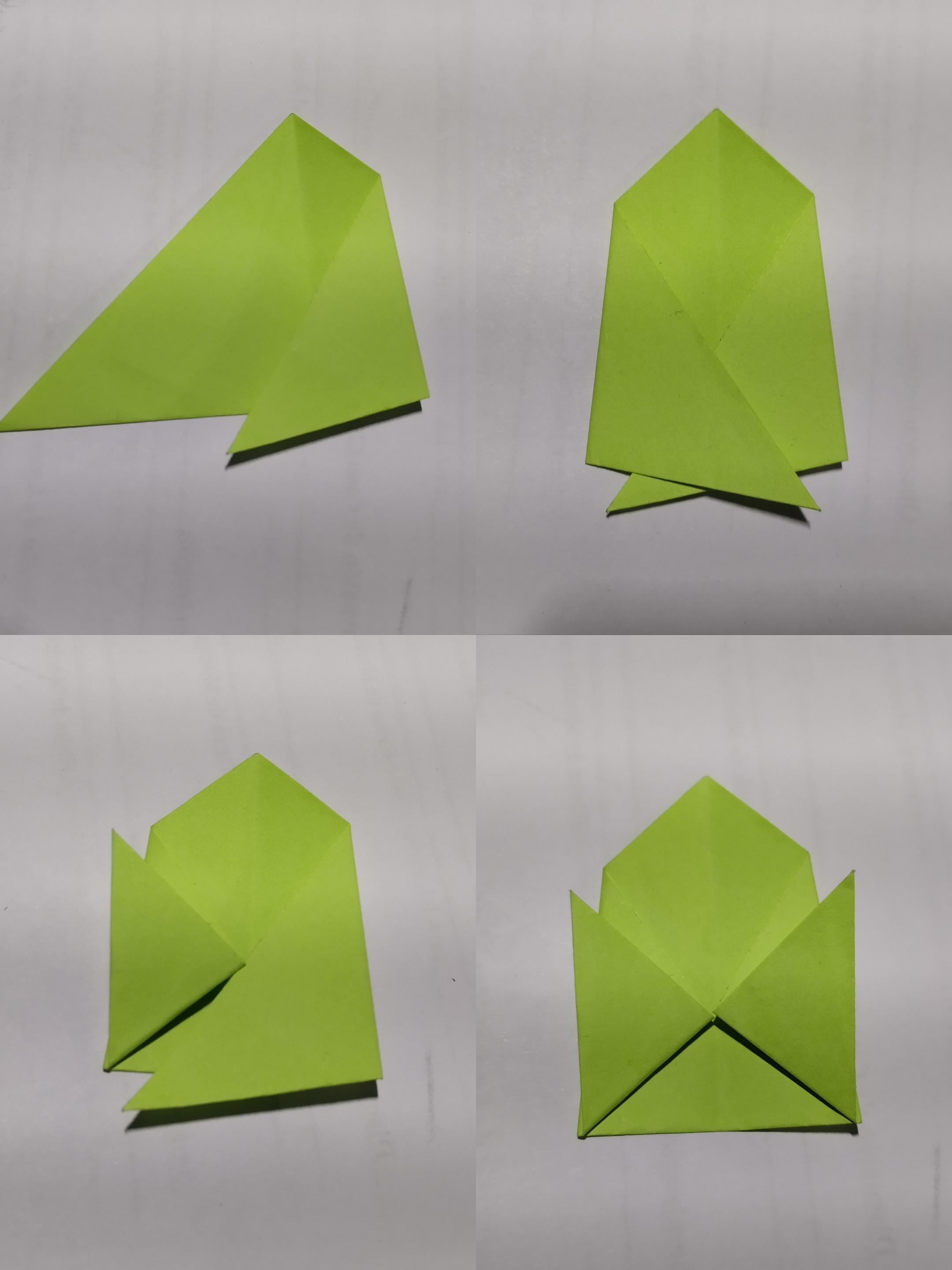 1000074591.jpg