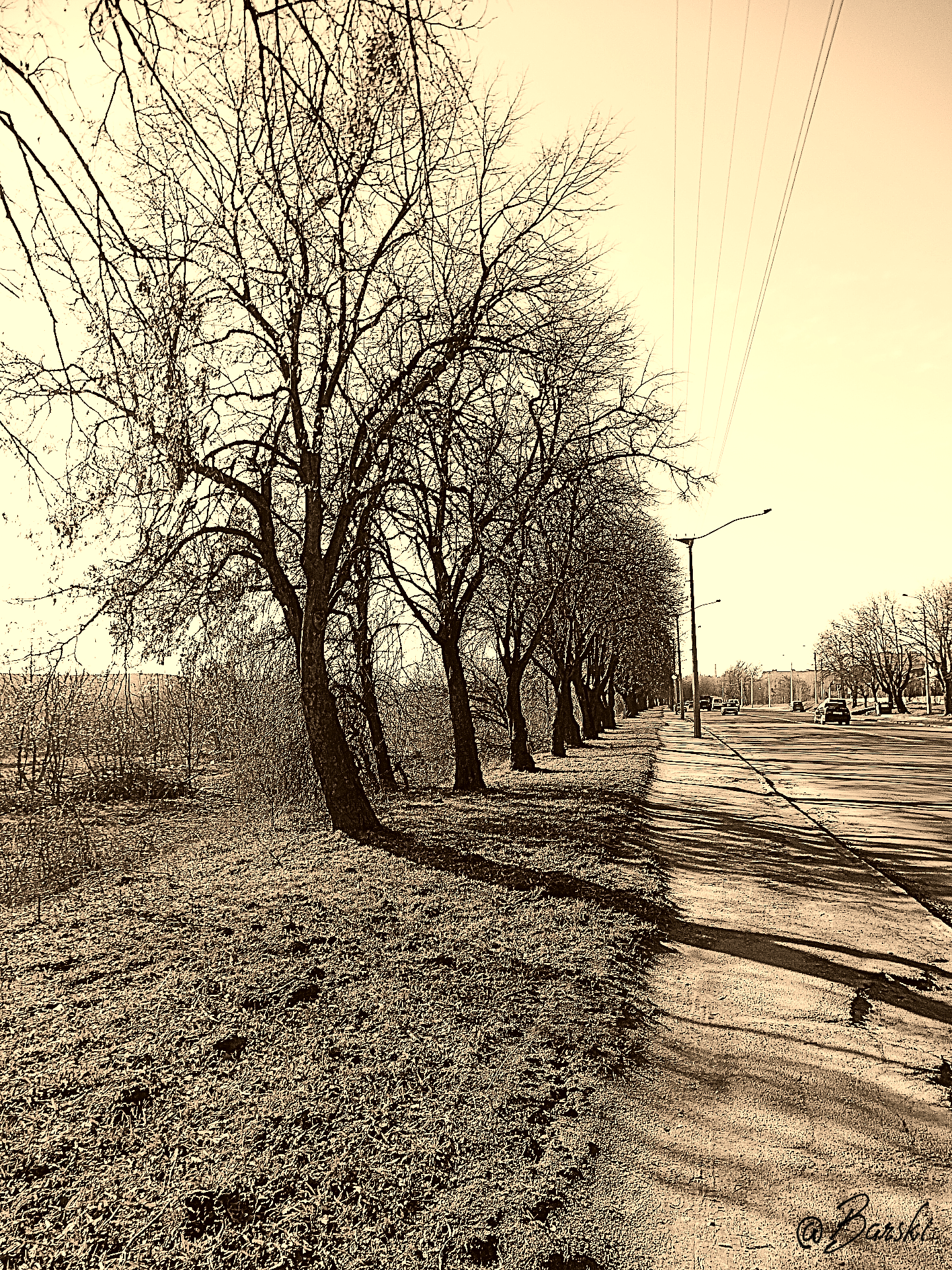 DSC00354.png