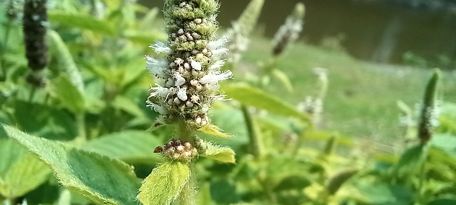 20220422_104824.jpg