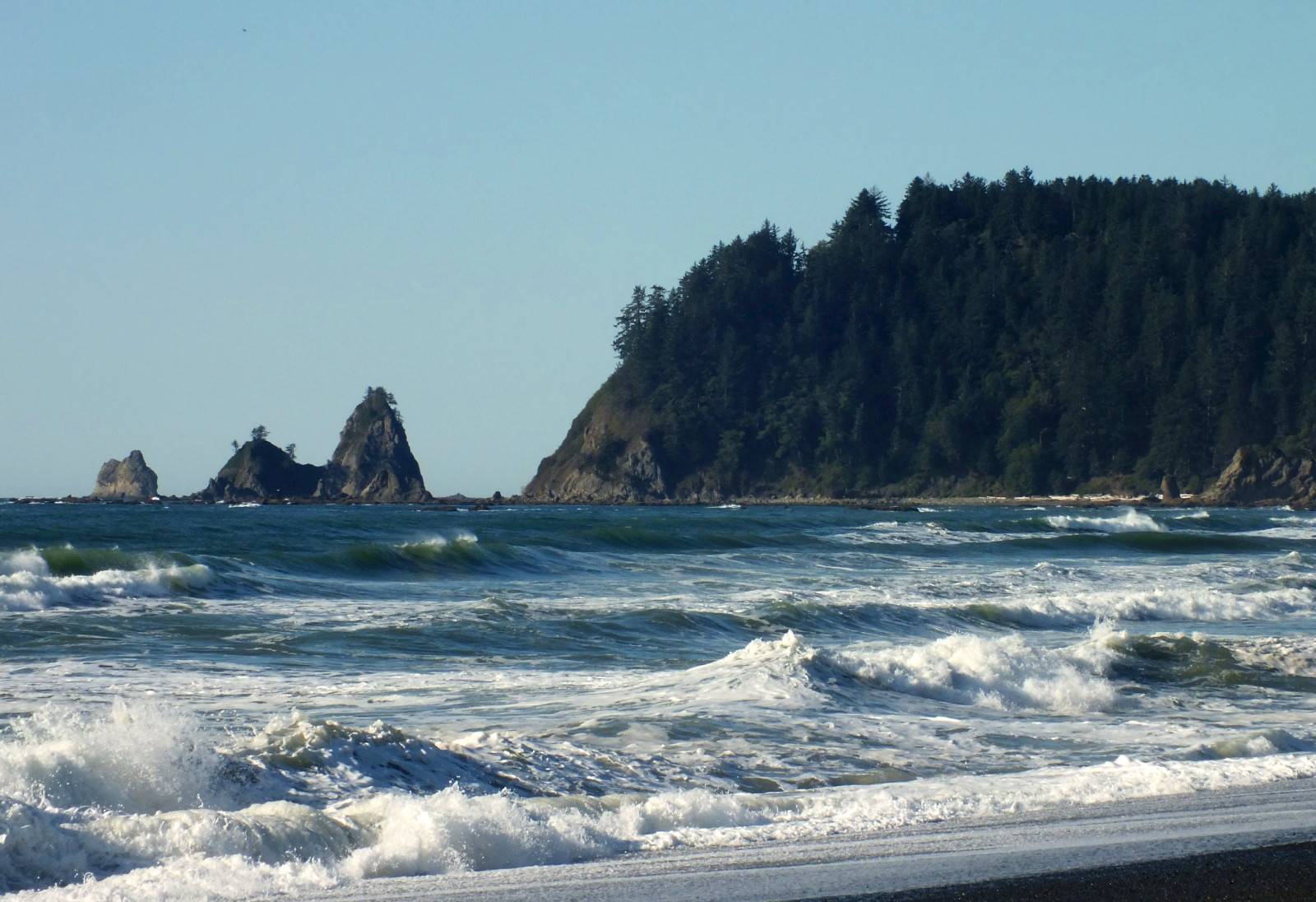 x112-RialtoBeach.jpg