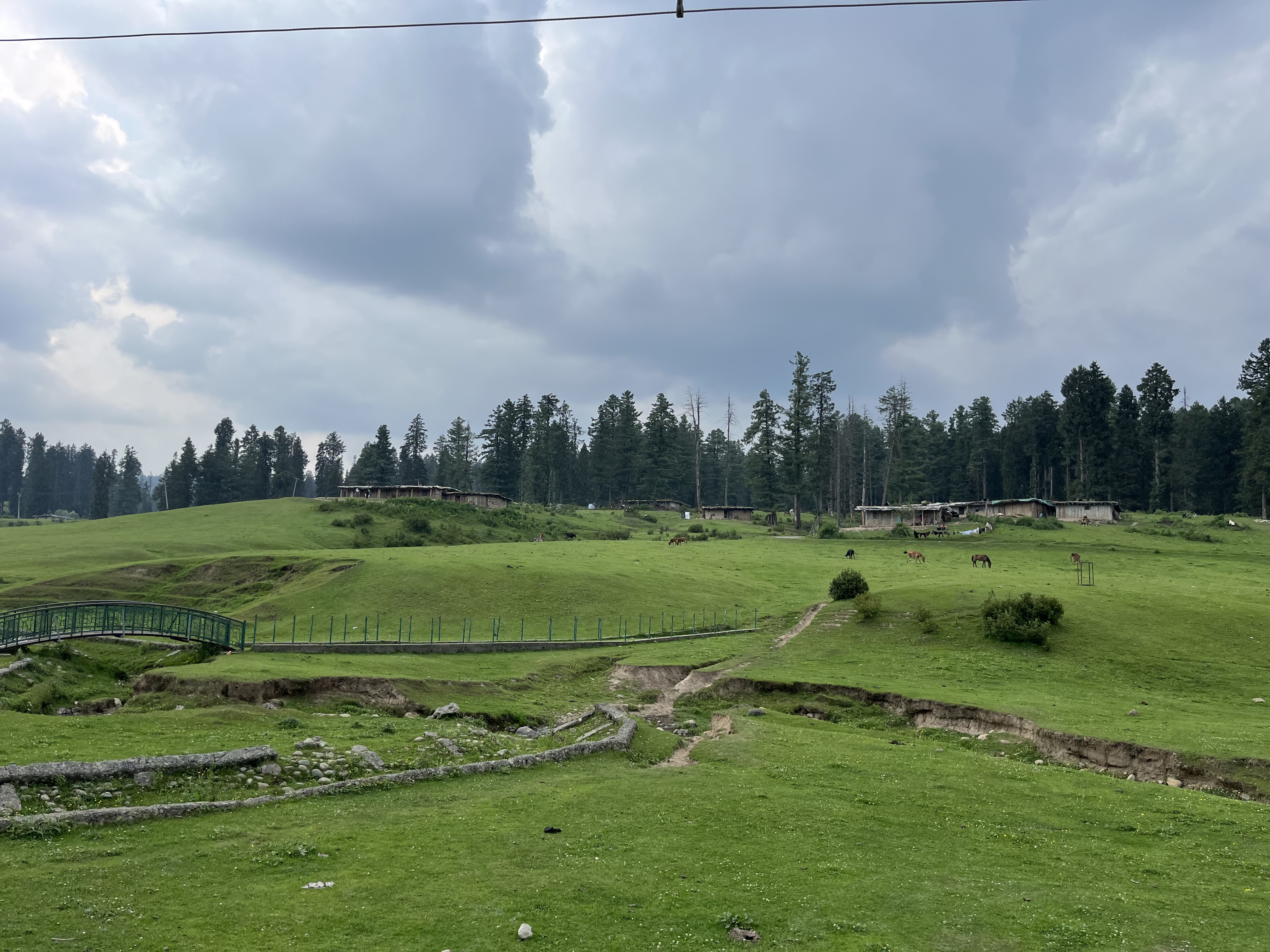 IMG_1060.jpeg