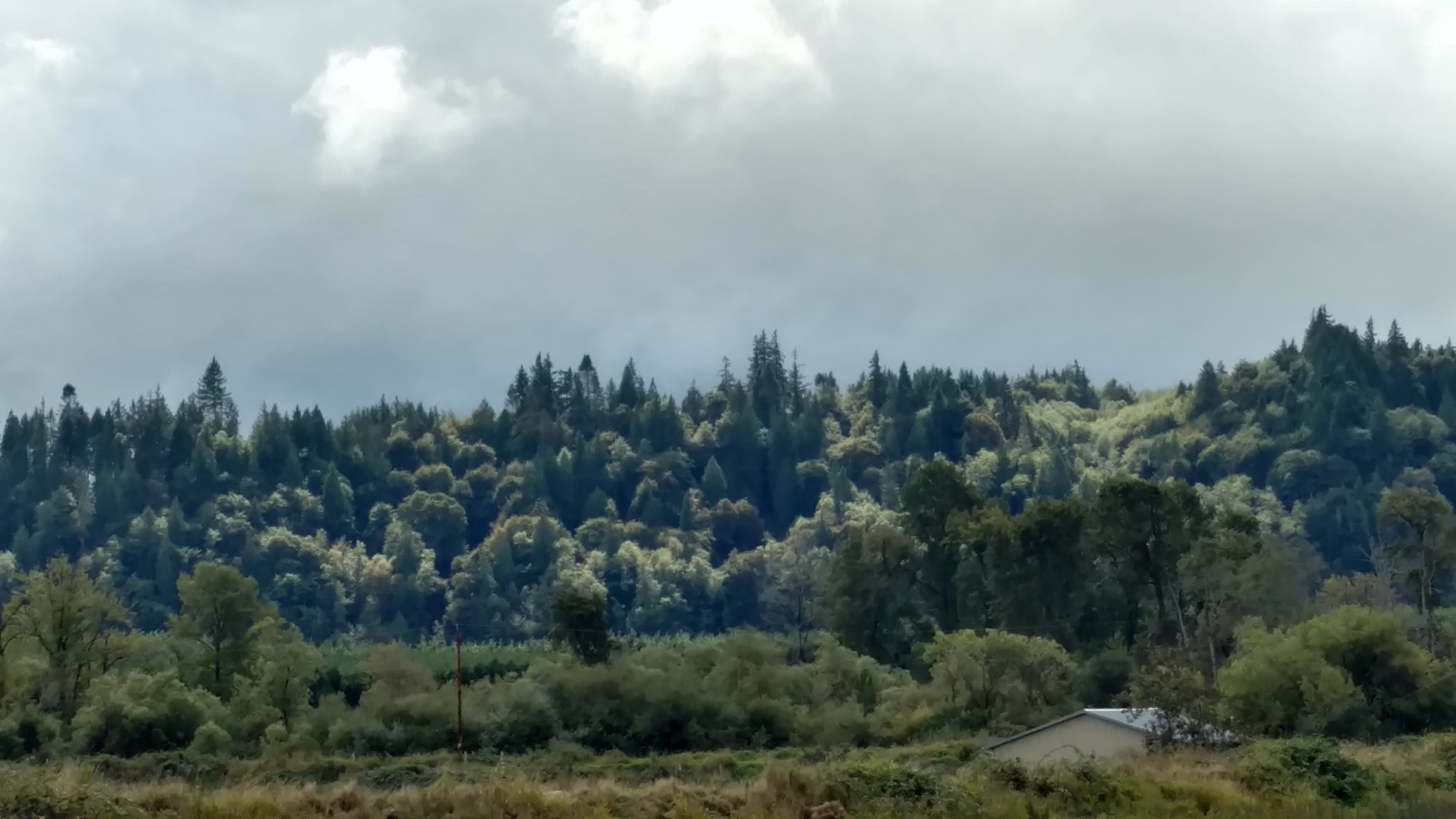IMG_20190917_143803675_HDR.jpg