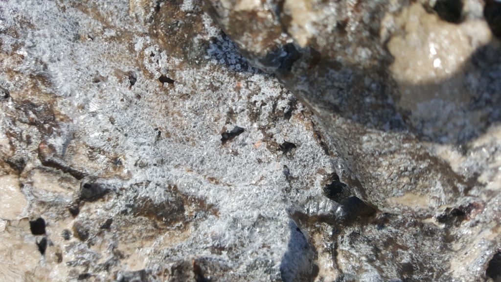 20180911_145337.jpg