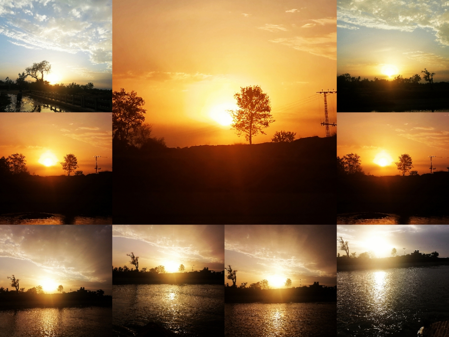 Collage_20210903_151810.jpg