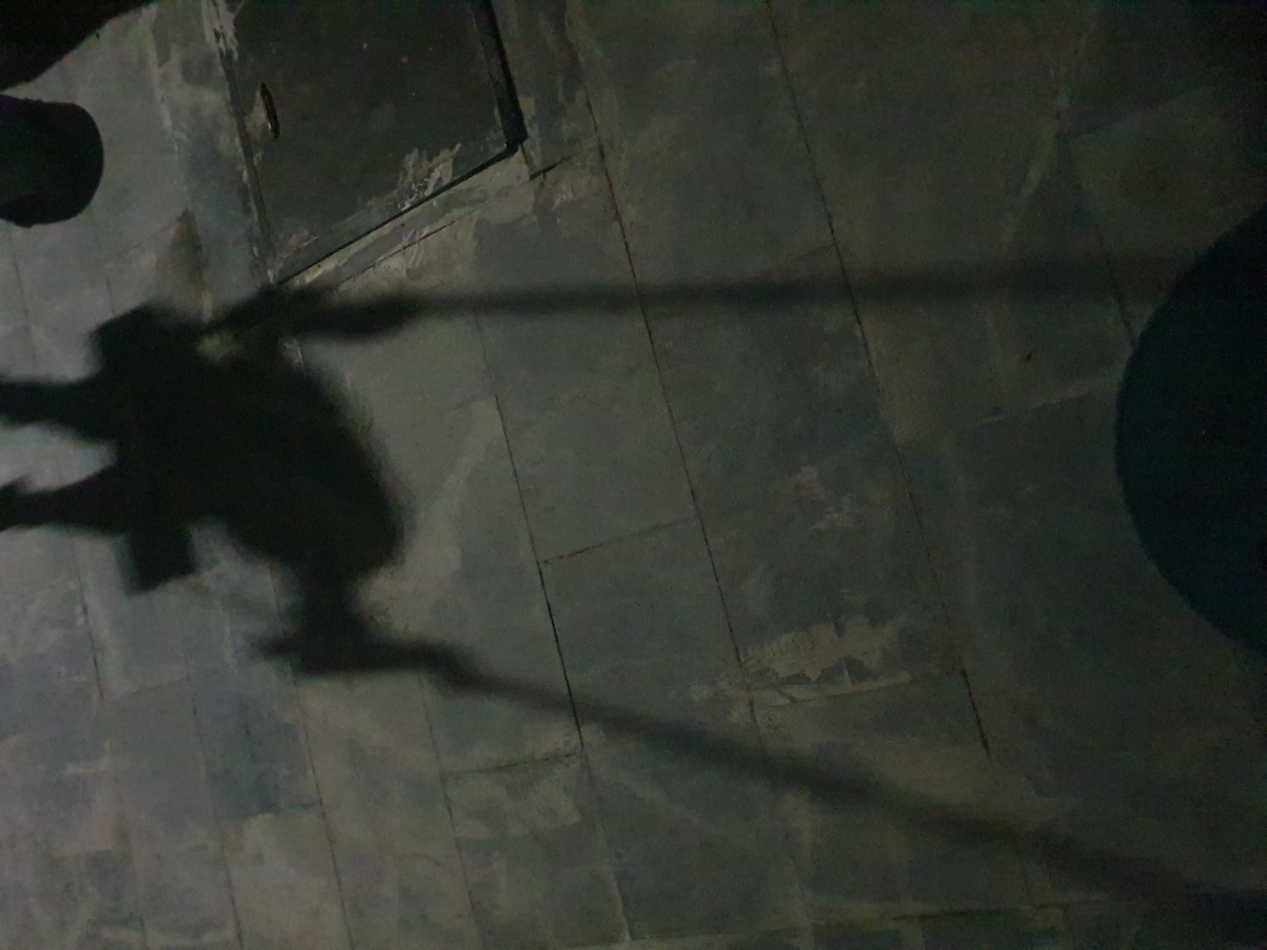 20260606_195738.jpg