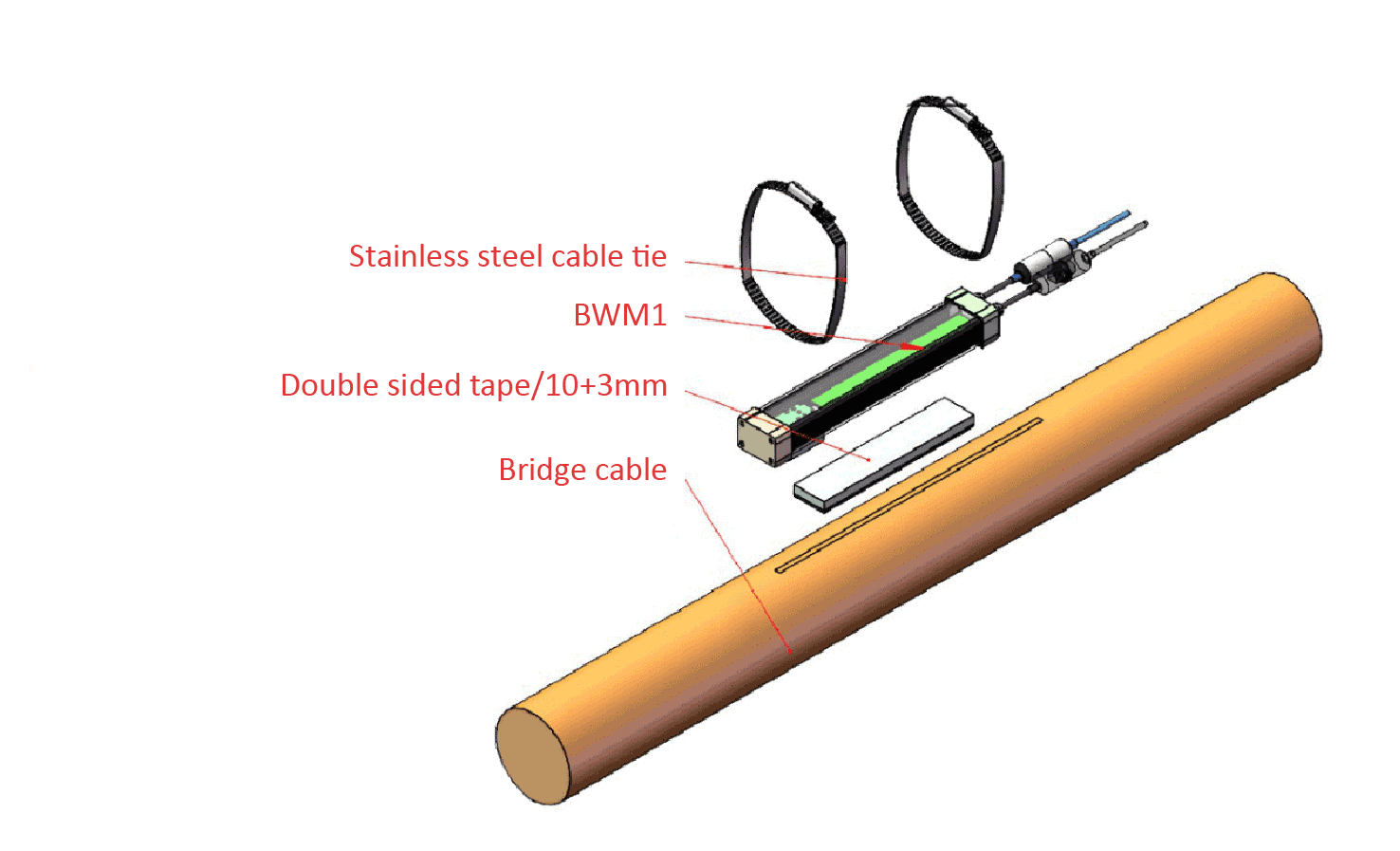 bwm4.png