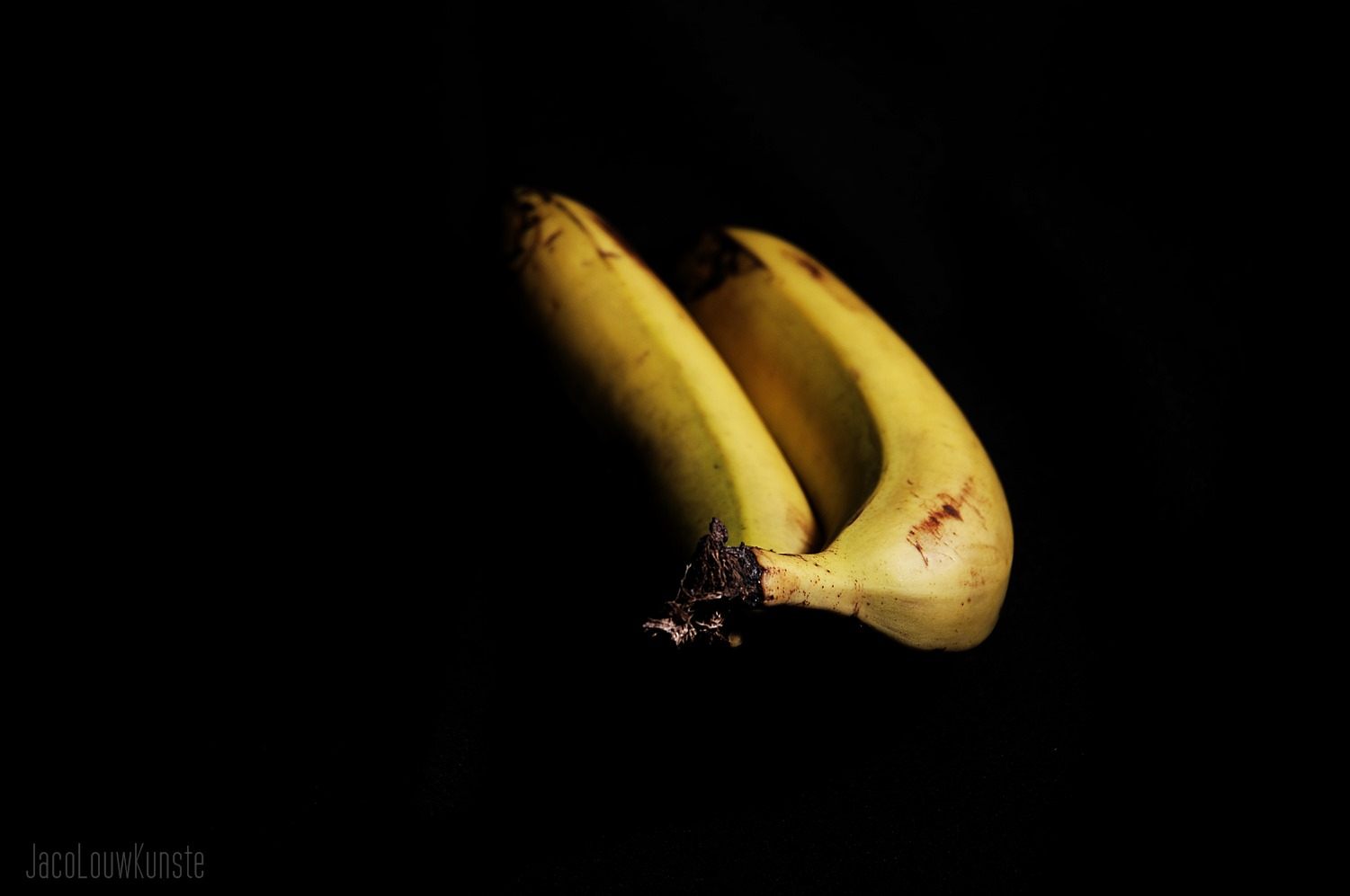 _DSC7364.JPG