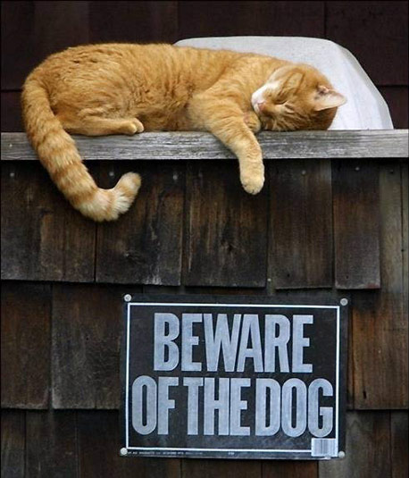 bcu-bewareofdog.jpg
