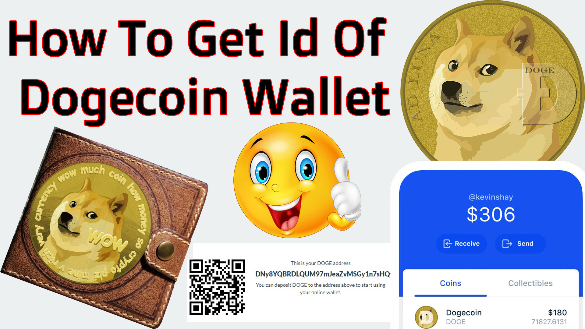 How To Get Id Of Dogecoin Wallet by Crypto Wallets Info.jpg