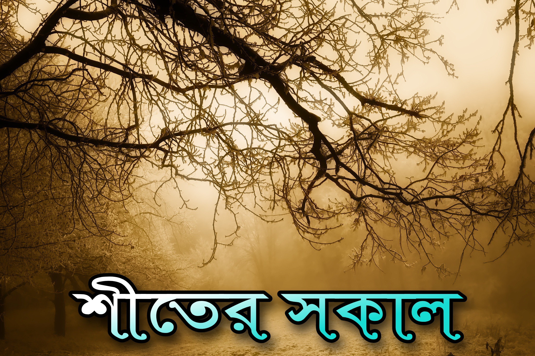 Picsart_22-11-26_08-15-02-526.jpg