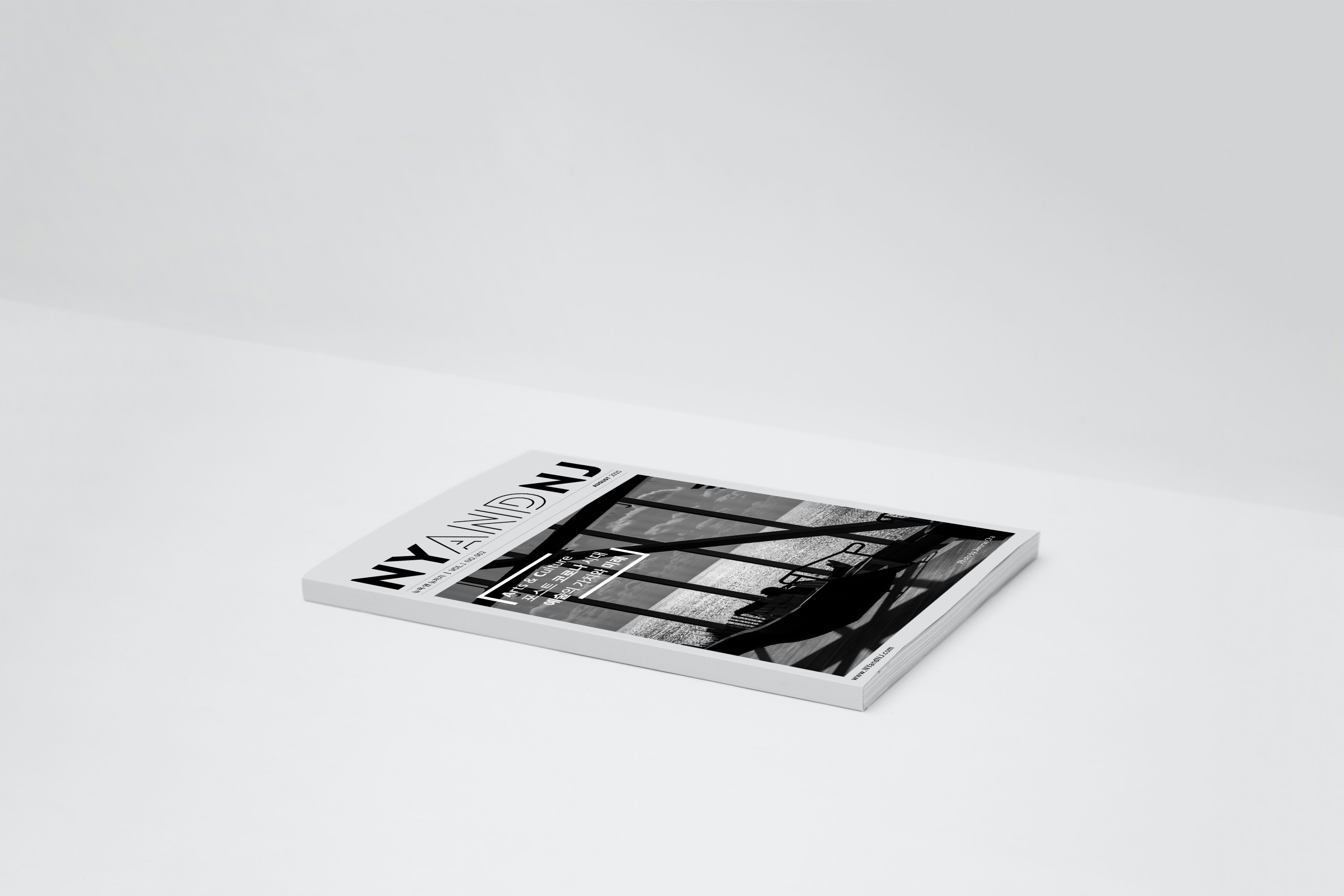 nynj08cover.jpg