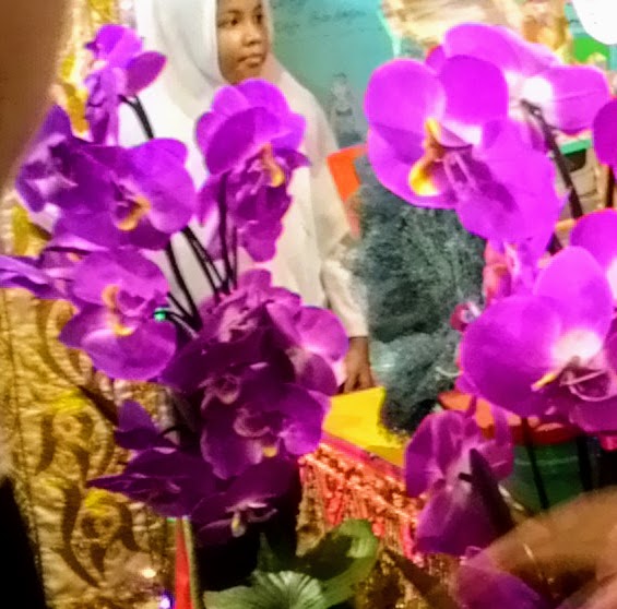 P_20150318_140141.jpg
