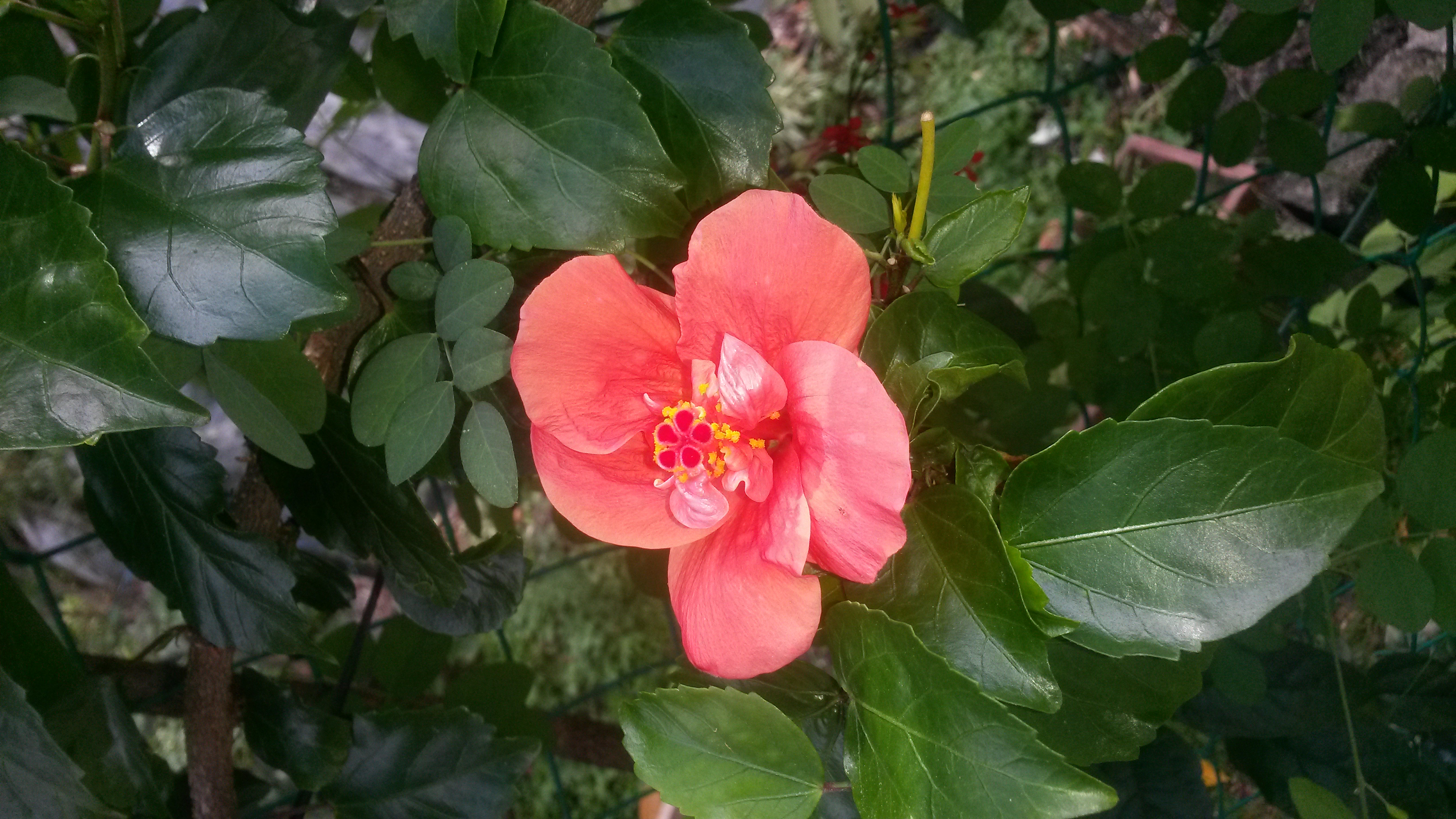 20180504_114834.jpg