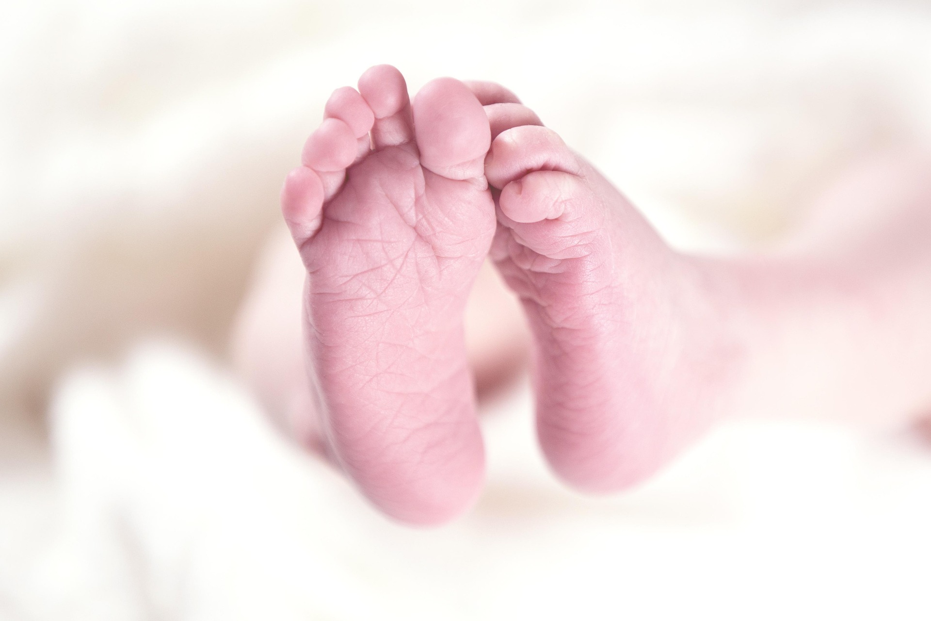 rainer_maiores-baby-256857_1920.jpg