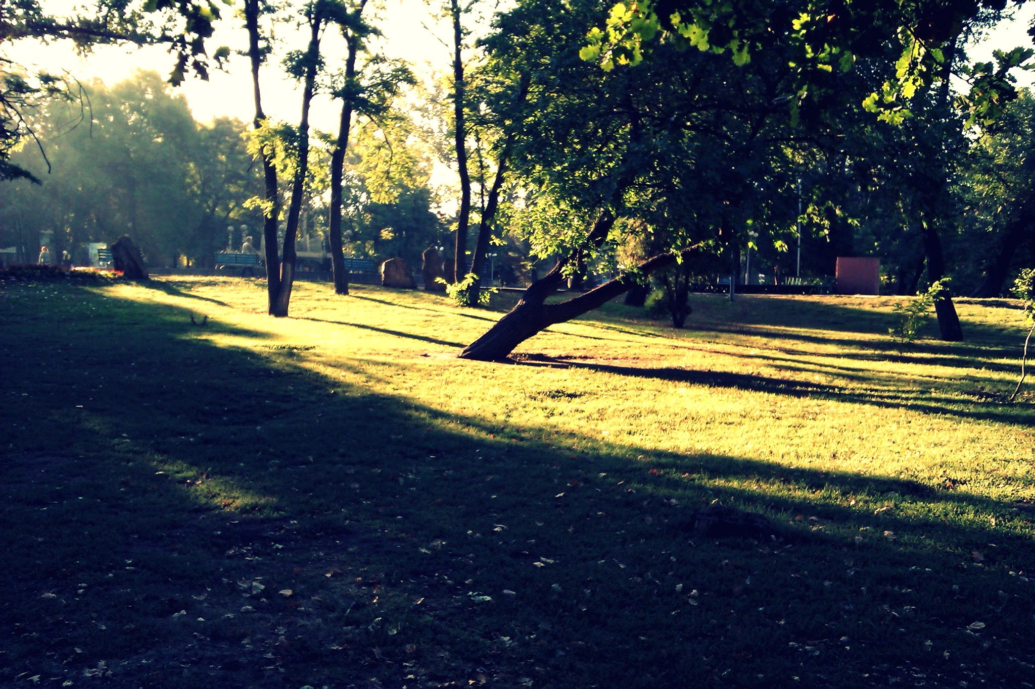 IMAG0174-1.jpg