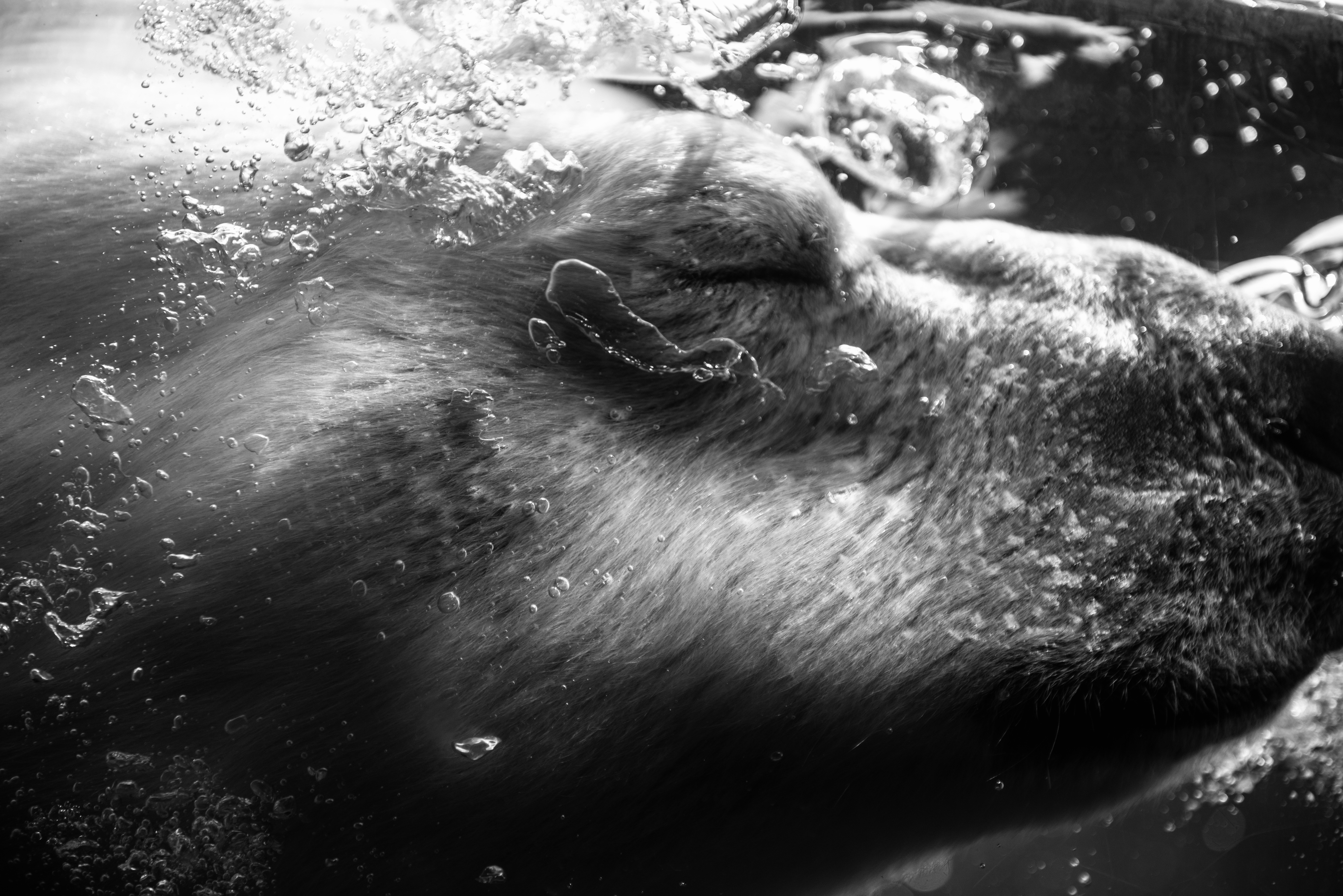 DSC_4034.jpg