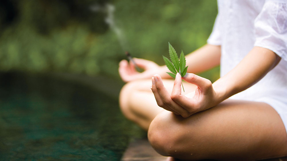 weed-meditation.jpg