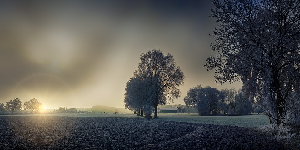 dawn-3130910_960_720.jpg