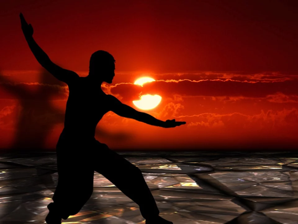 martial-arts-291046_960_720.webp